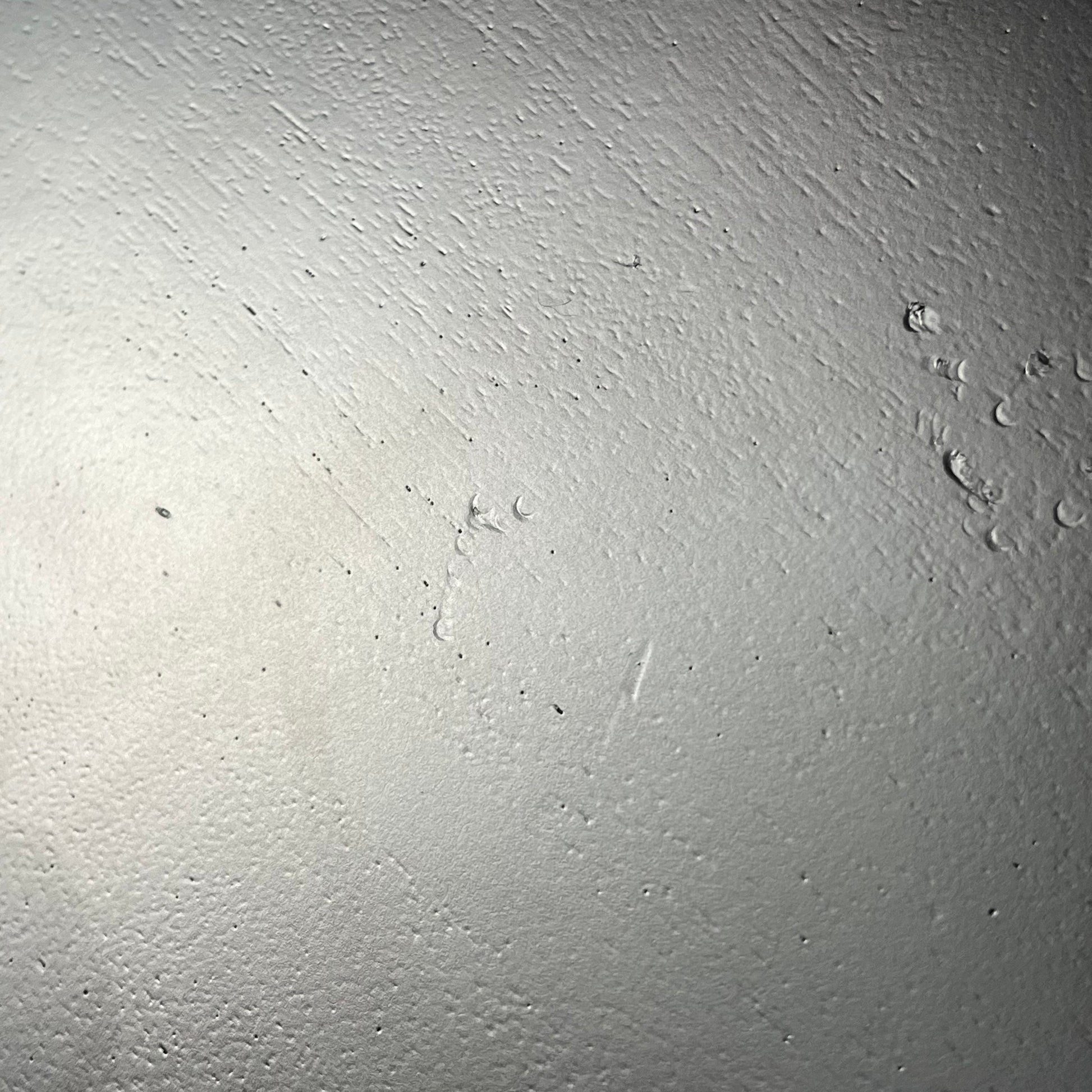 Epiphone Les Paul SL