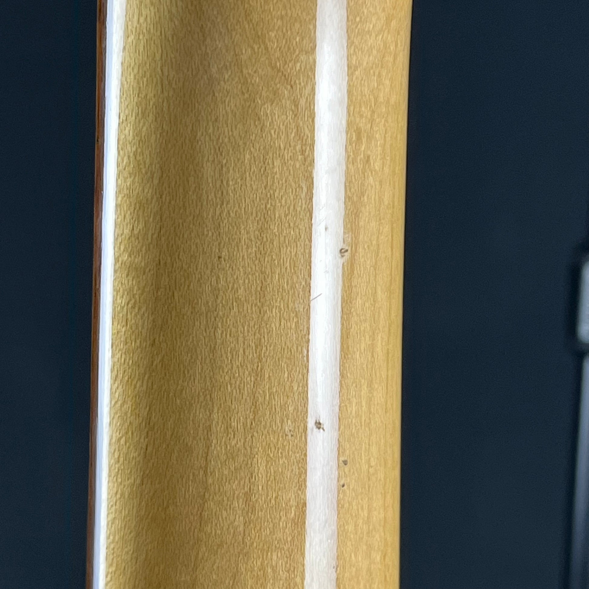 Fernandes Stratocaster