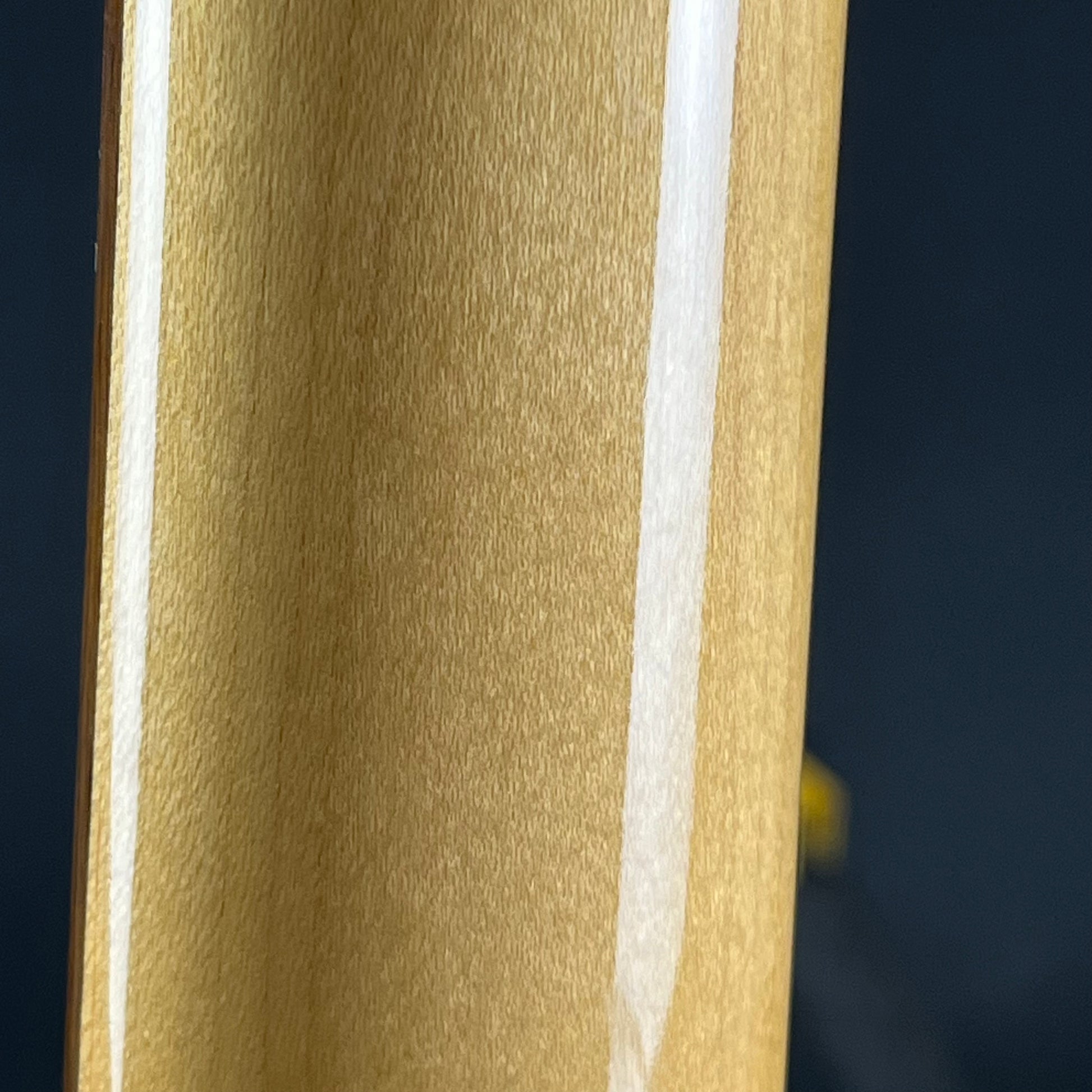 Fernandes Stratocaster