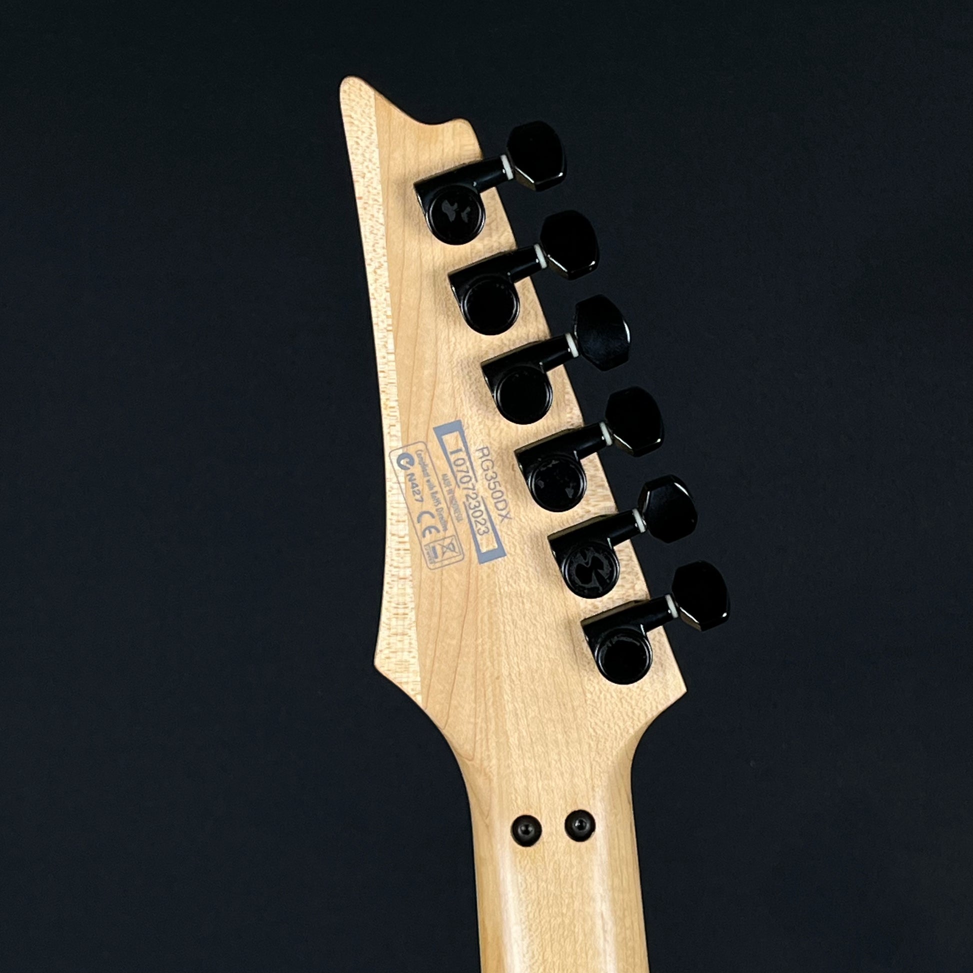 Ibanez RG350DX 2007
