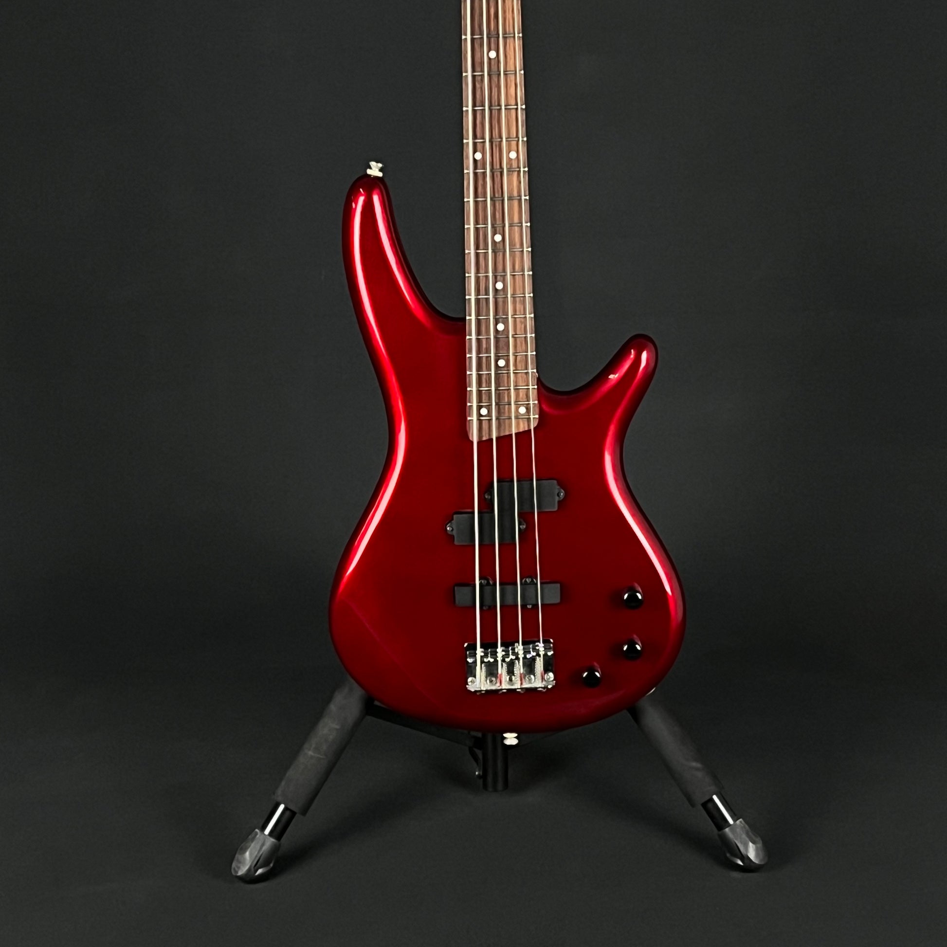 Ibanez SDGR Bass