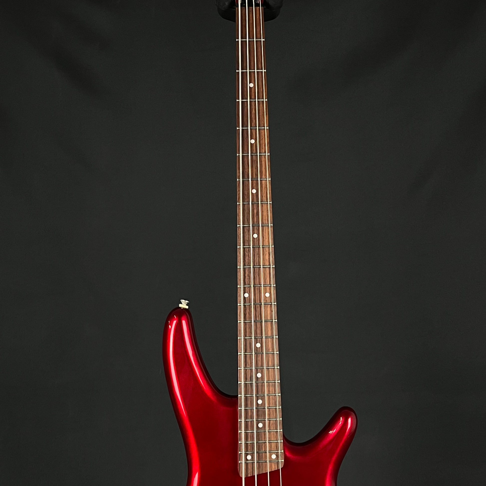 Ibanez SDGR Bass
