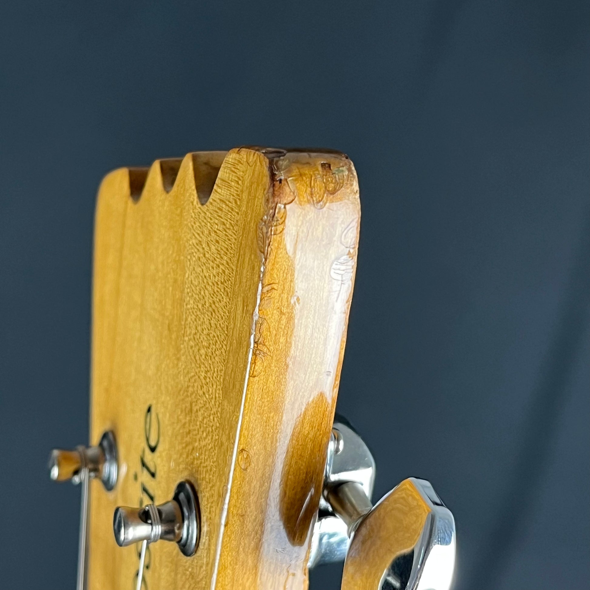 Mosrite Japan The Ventures Model '65
