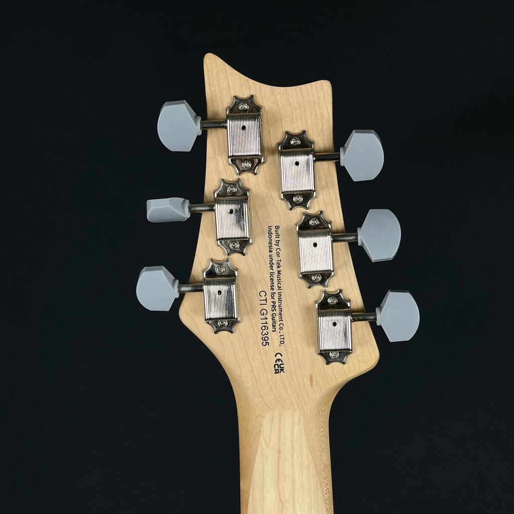 PRS SE SILVER SKY
