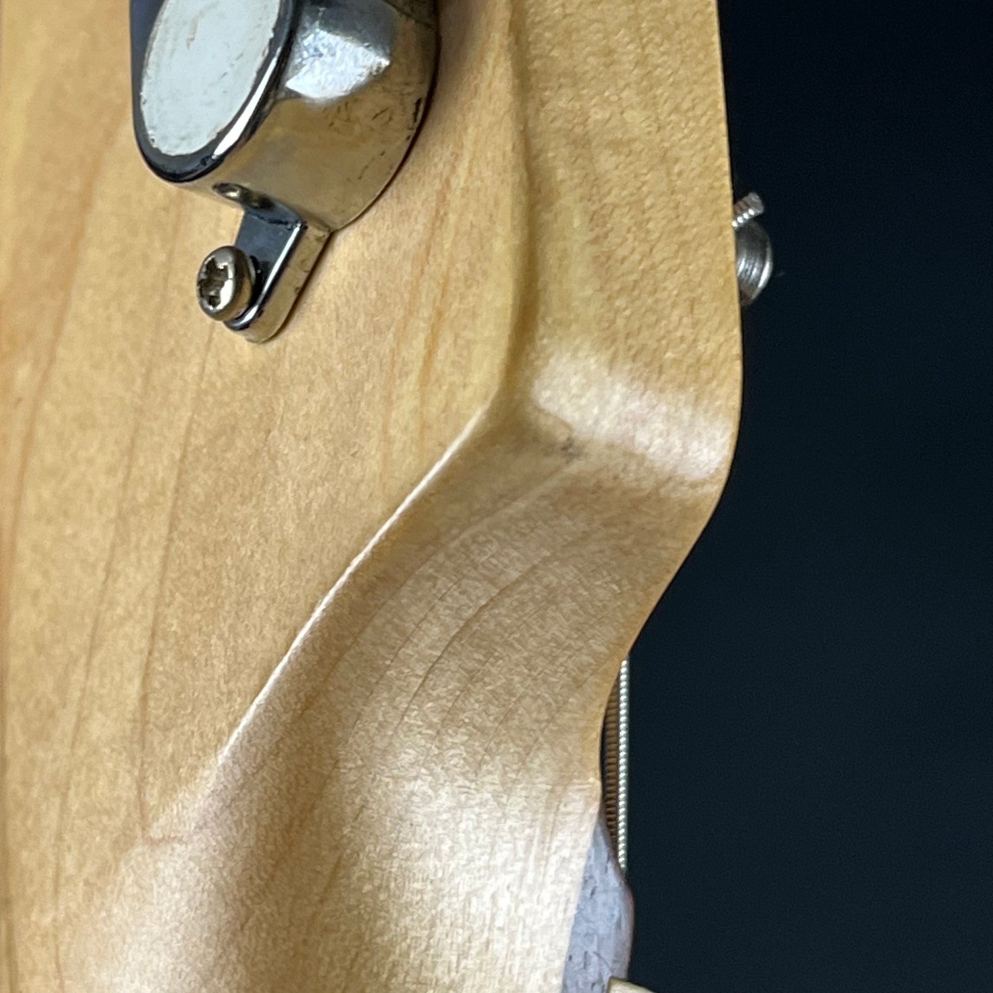 Bacchus Universe Series Telecaster