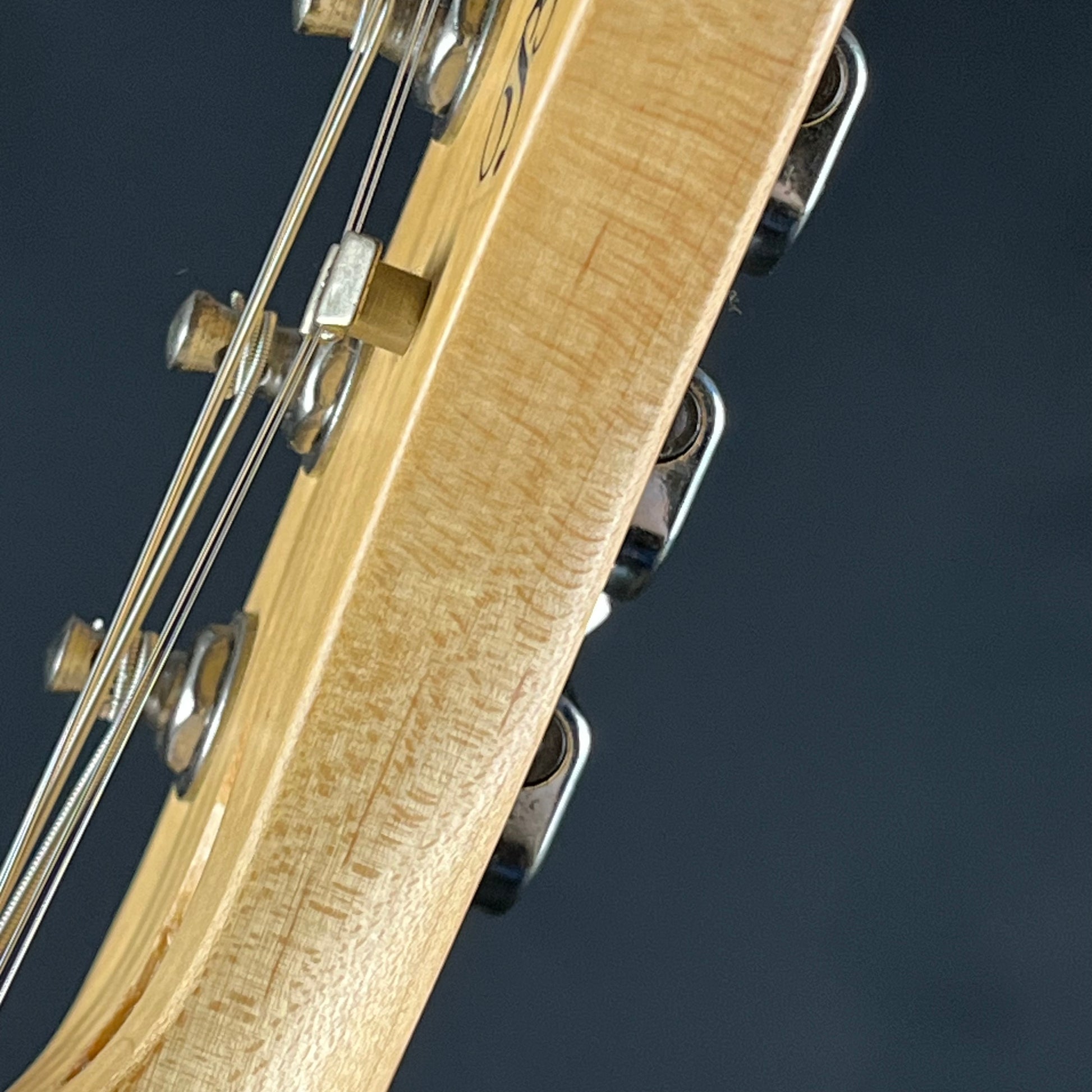 Bacchus Universe Series Telecaster