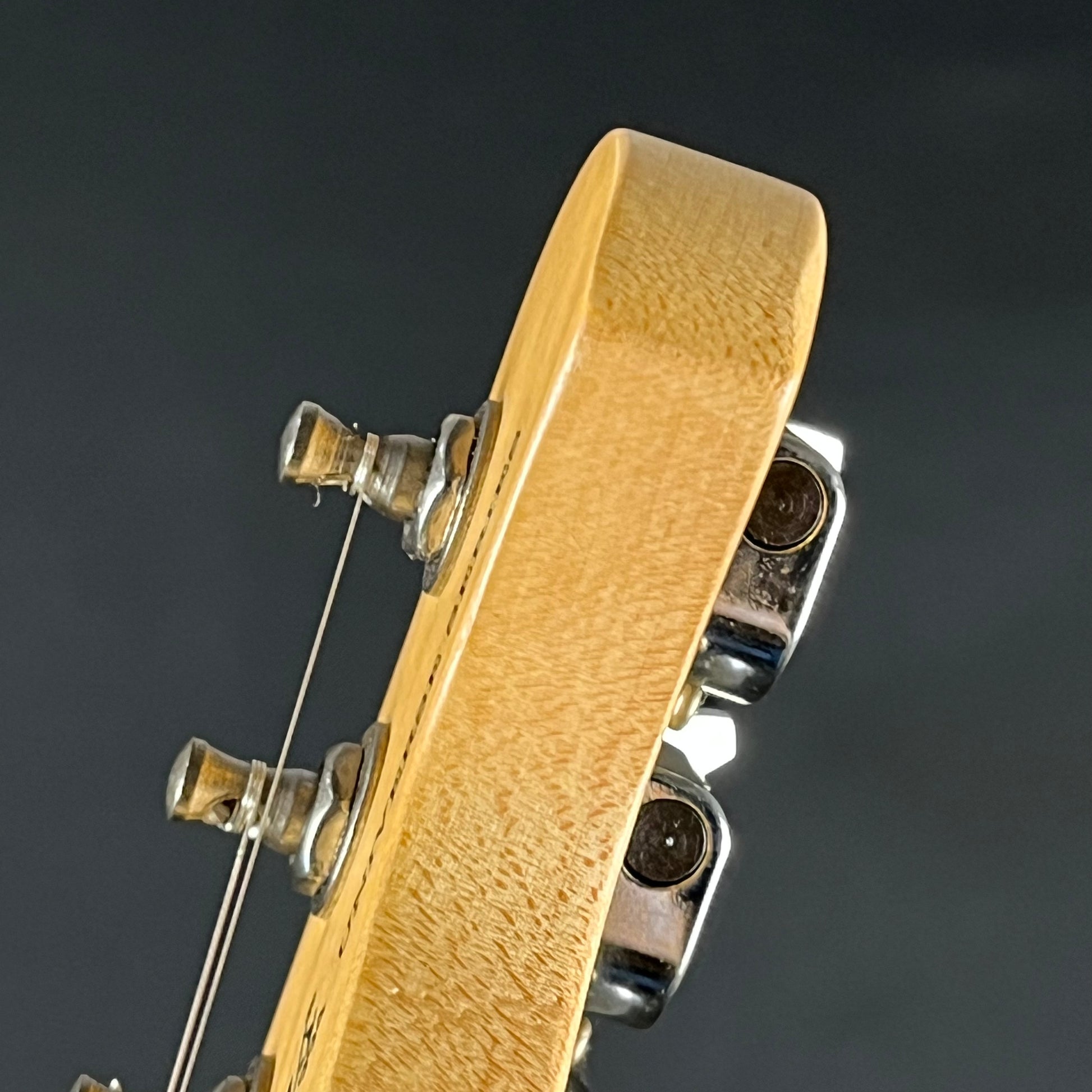 Bacchus Universe Series Telecaster