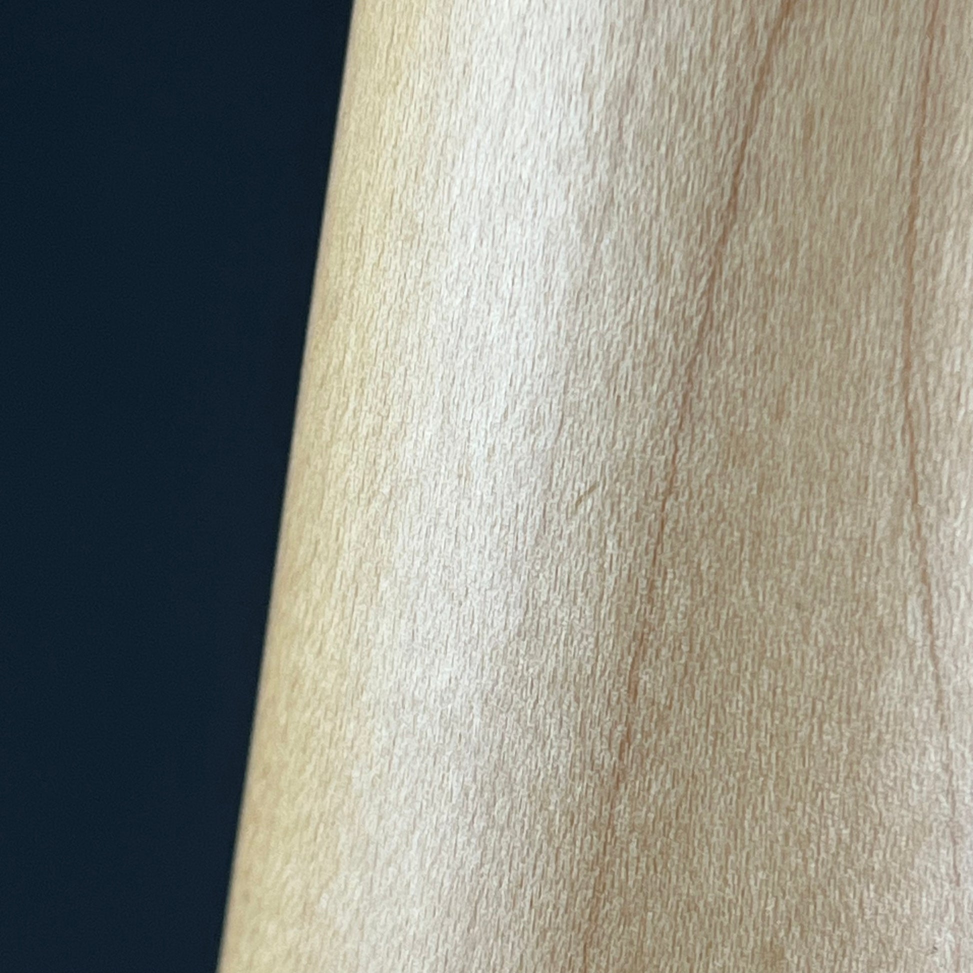 Bacchus Universe Series Telecaster