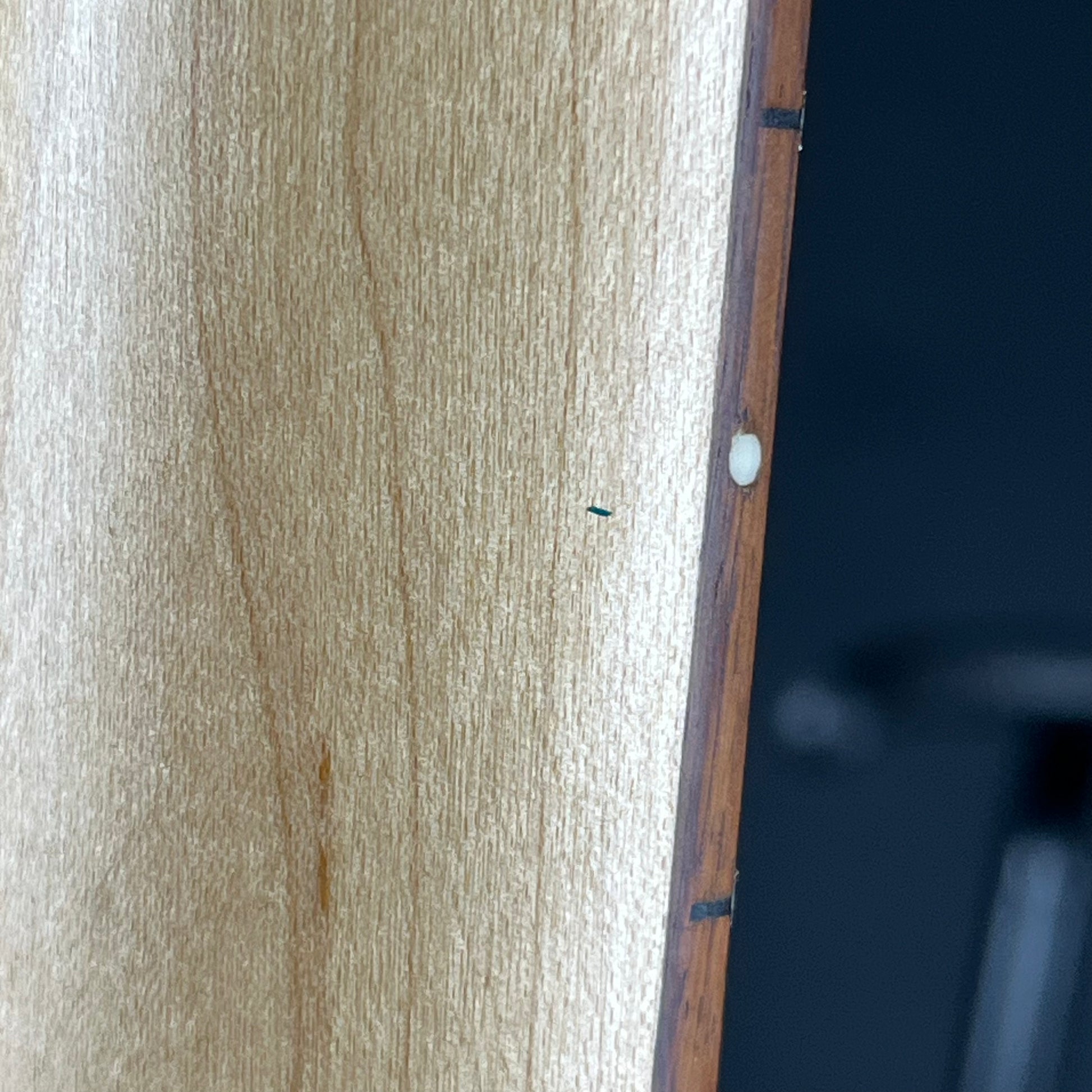 Bacchus Universe Series Telecaster