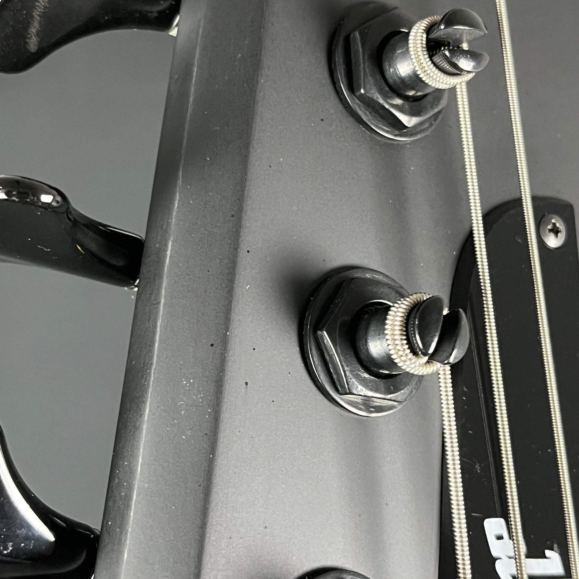 Epiphone Nikki Sixx Blackbird Bass