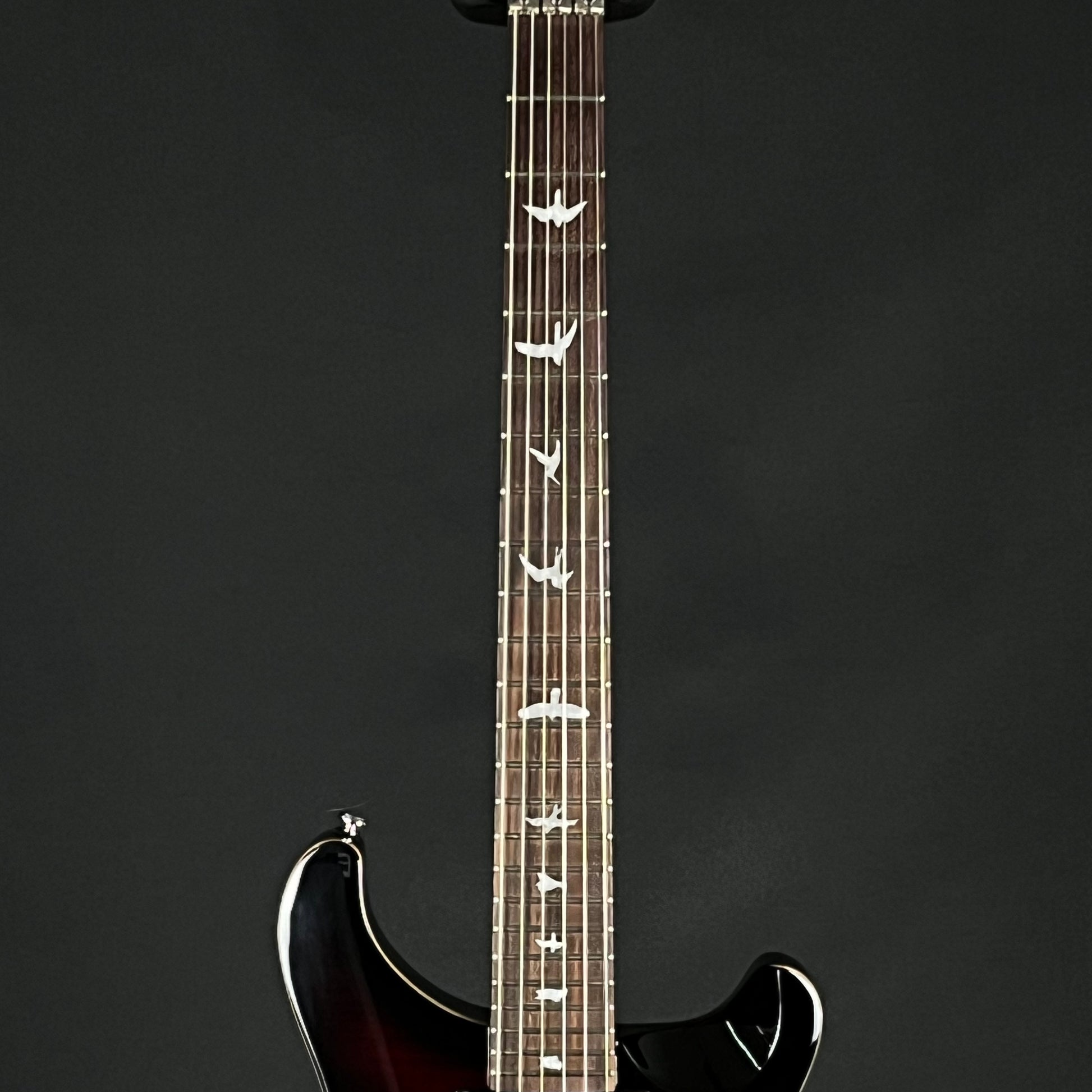 PRS SE "Floyd" Custom 24 2017