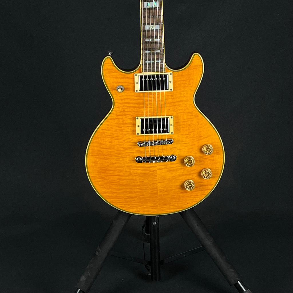 Ibanez Korea AR300