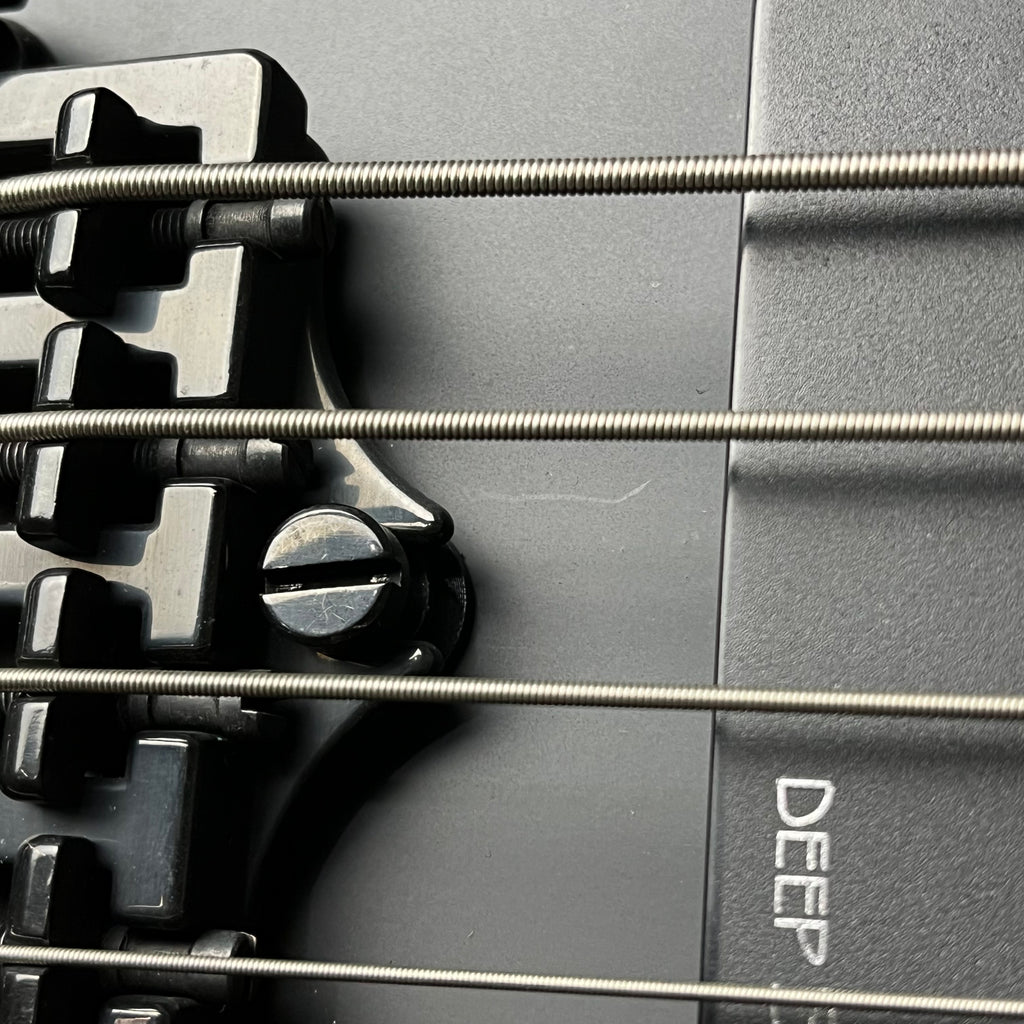 Epiphone Nikki Sixx Blackbird Bass