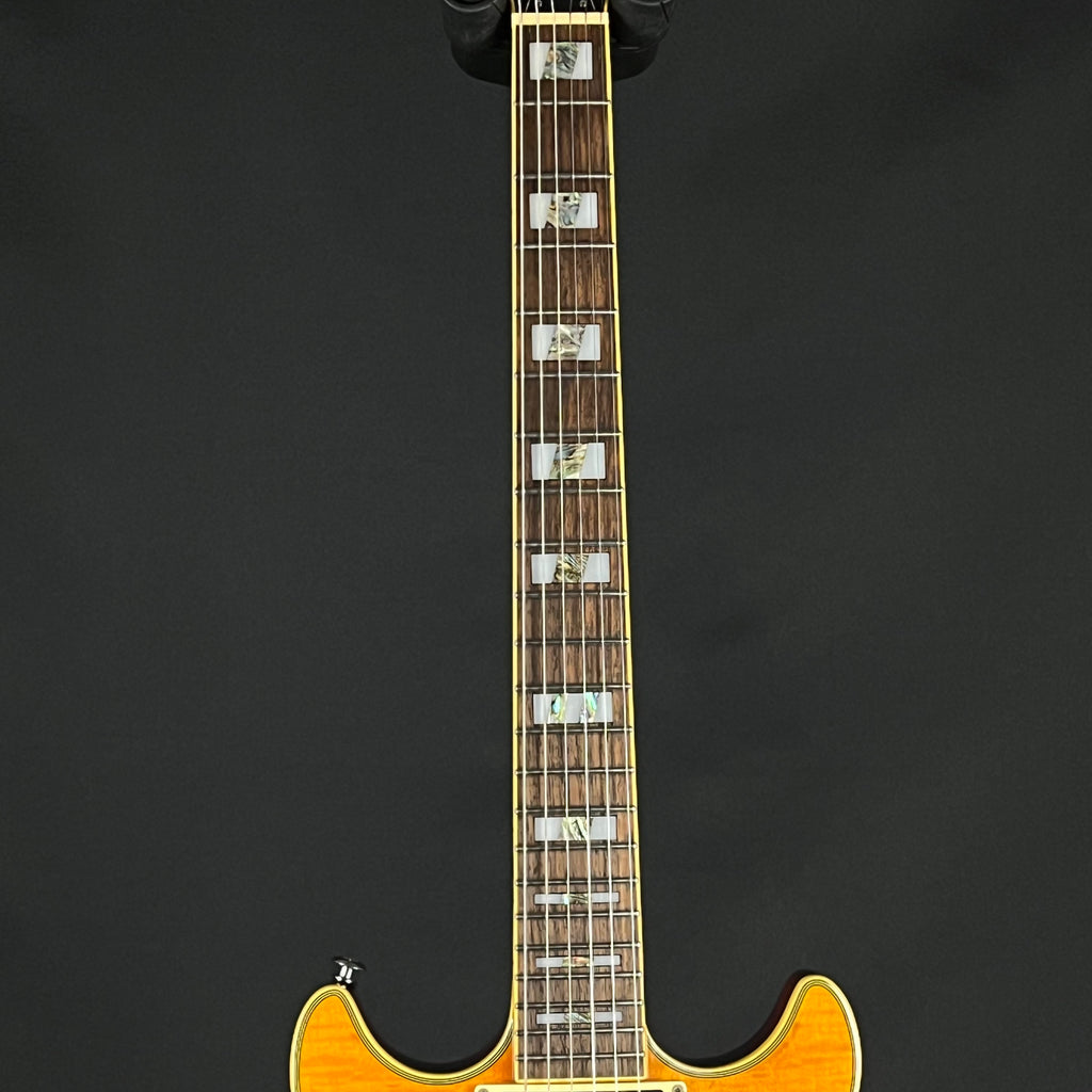 Ibanez Korea AR300