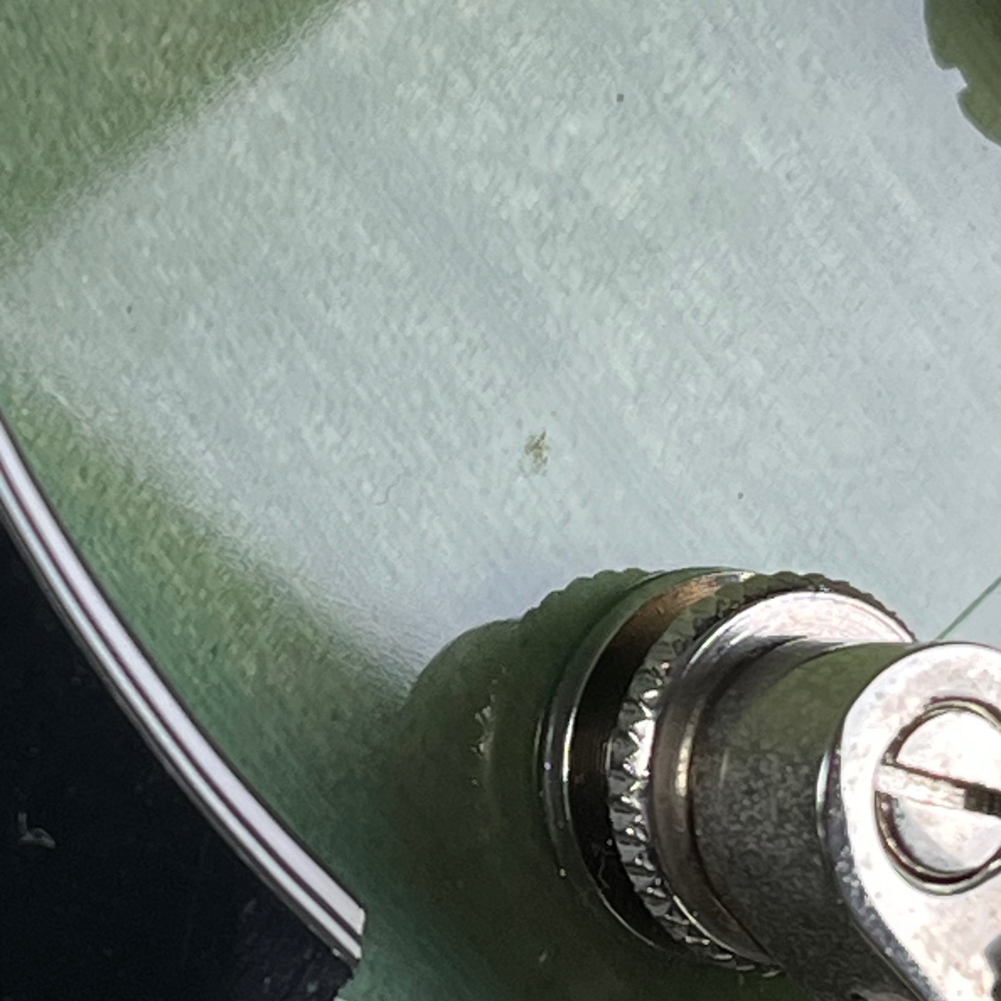 Epiphone ES-335 Figured IG 2021