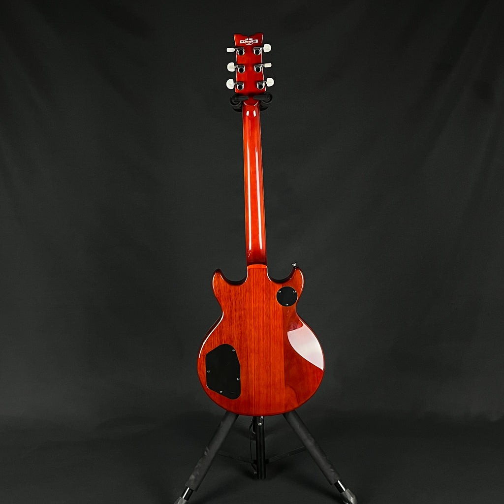 Ibanez Korea AR300