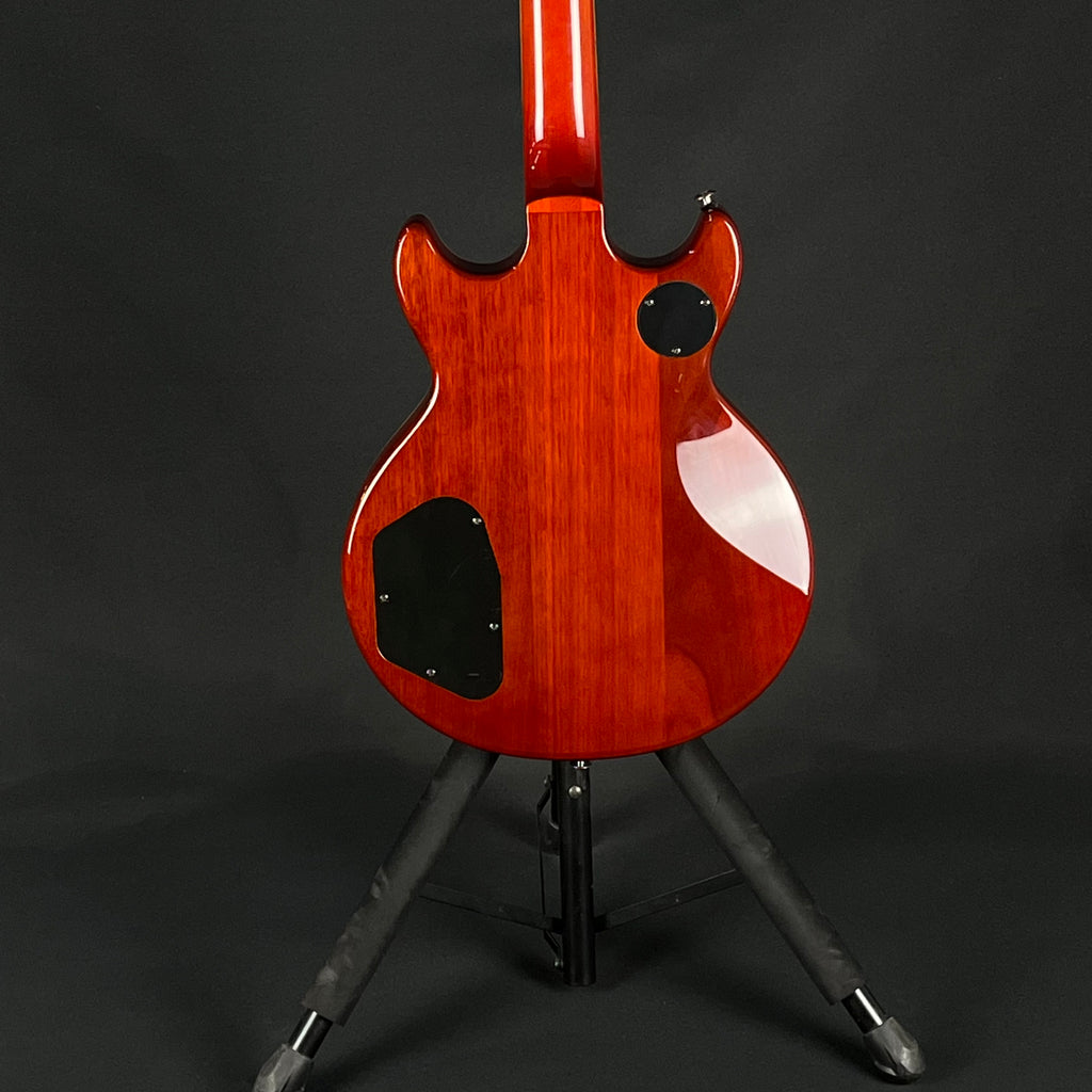 Ibanez Korea AR300