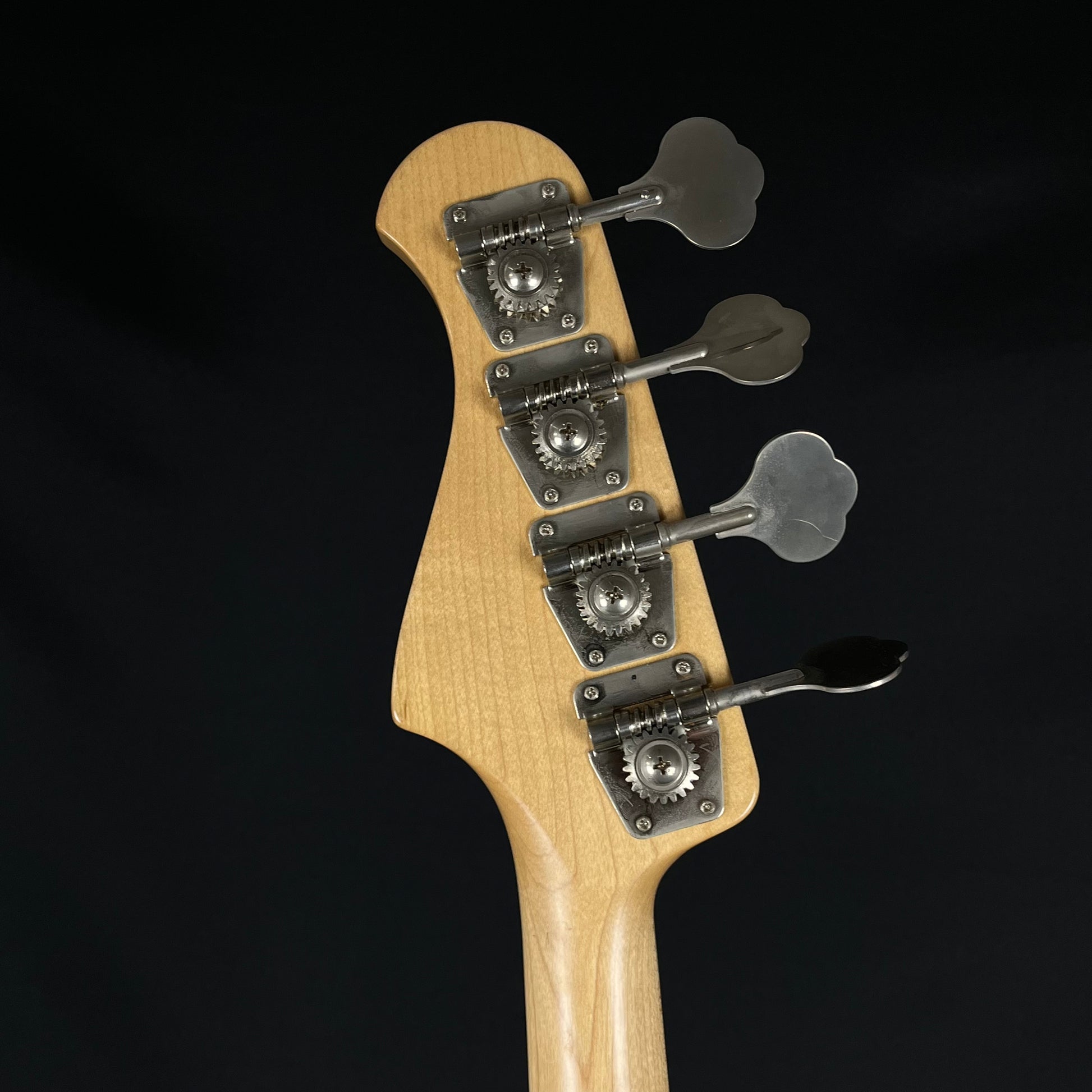 Bacchus Global Series Fretless Bass