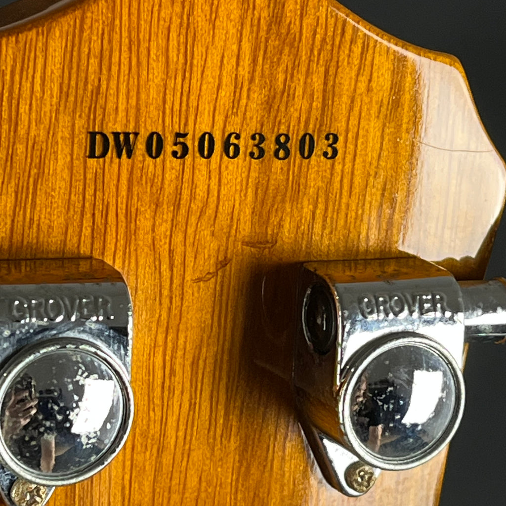 Epiphone Les Paul Standard 2005