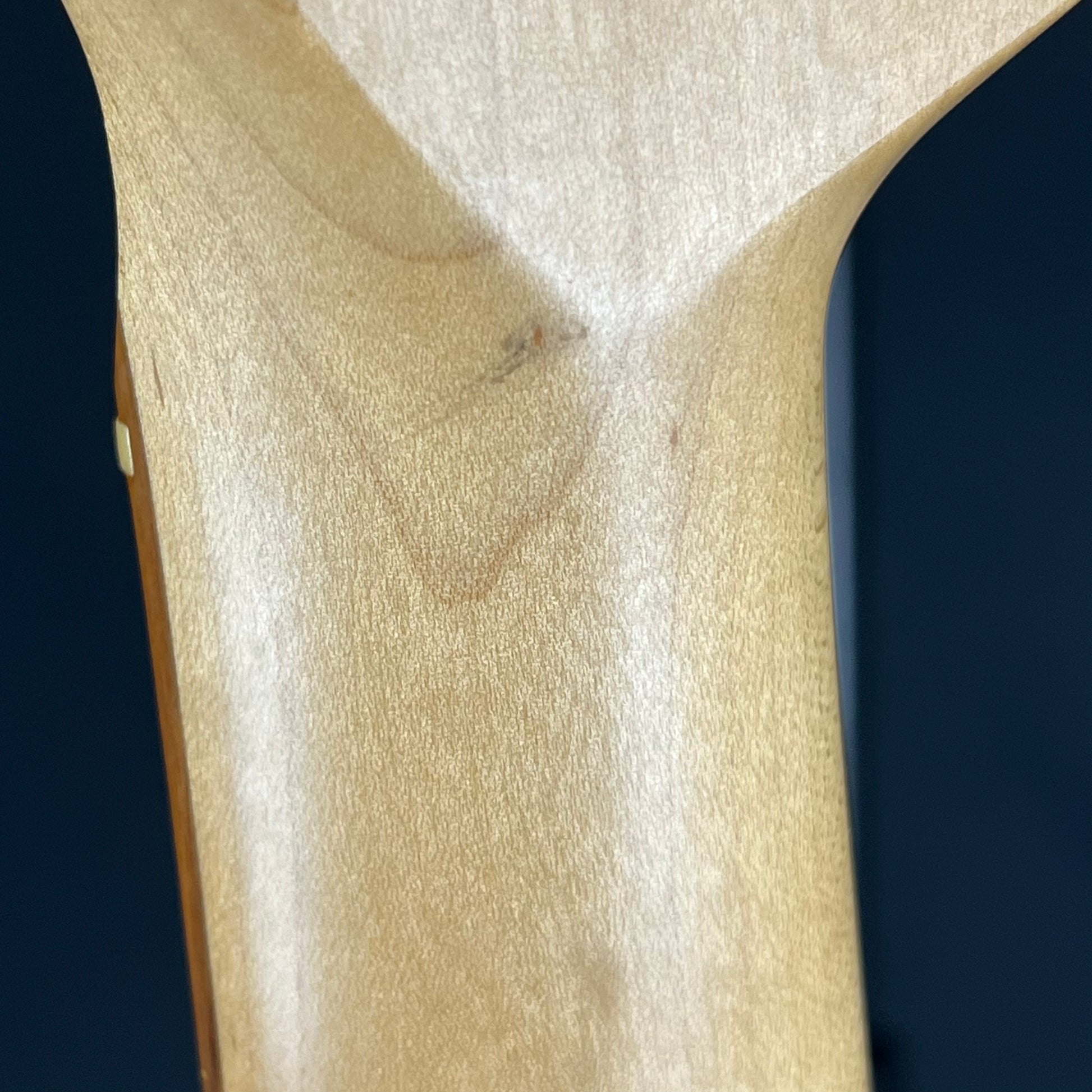 Fender Player Stratocaster PWT PF 2022