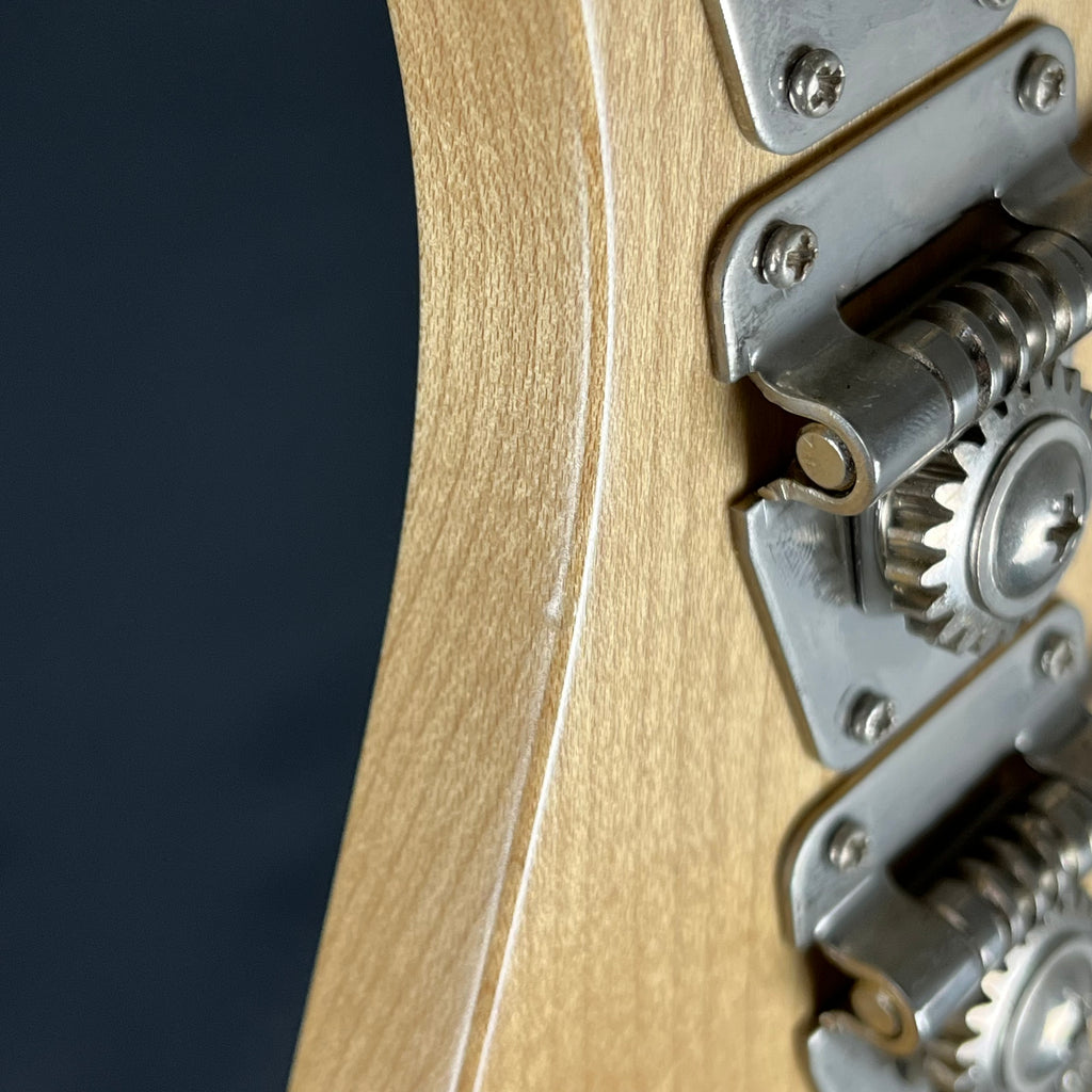 Bacchus Global Series Fretless Bass