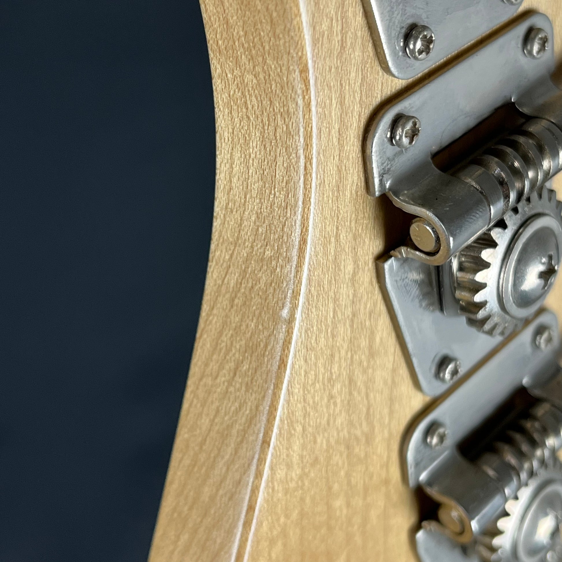 Bacchus Global Series Fretless Bass