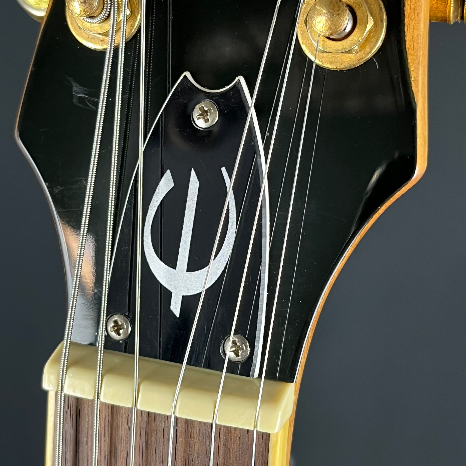 Epiphone Casino 2021 Mod