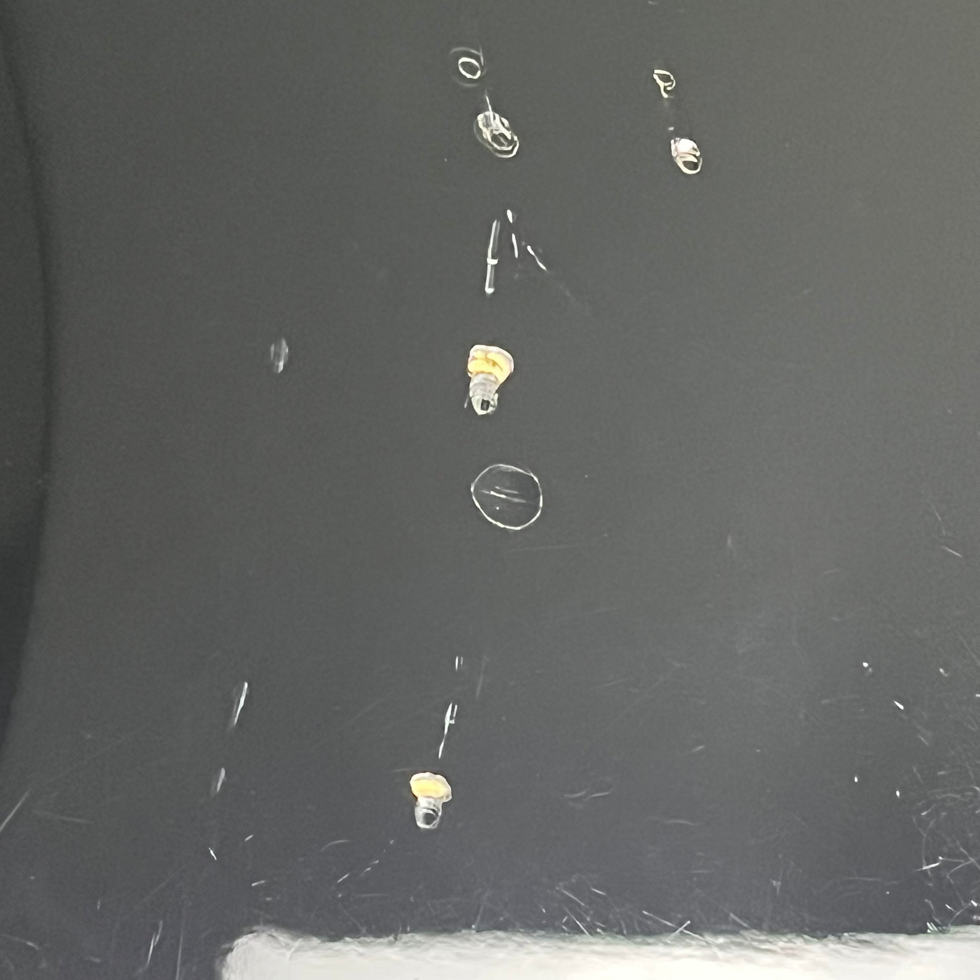 Squier Precision Bass