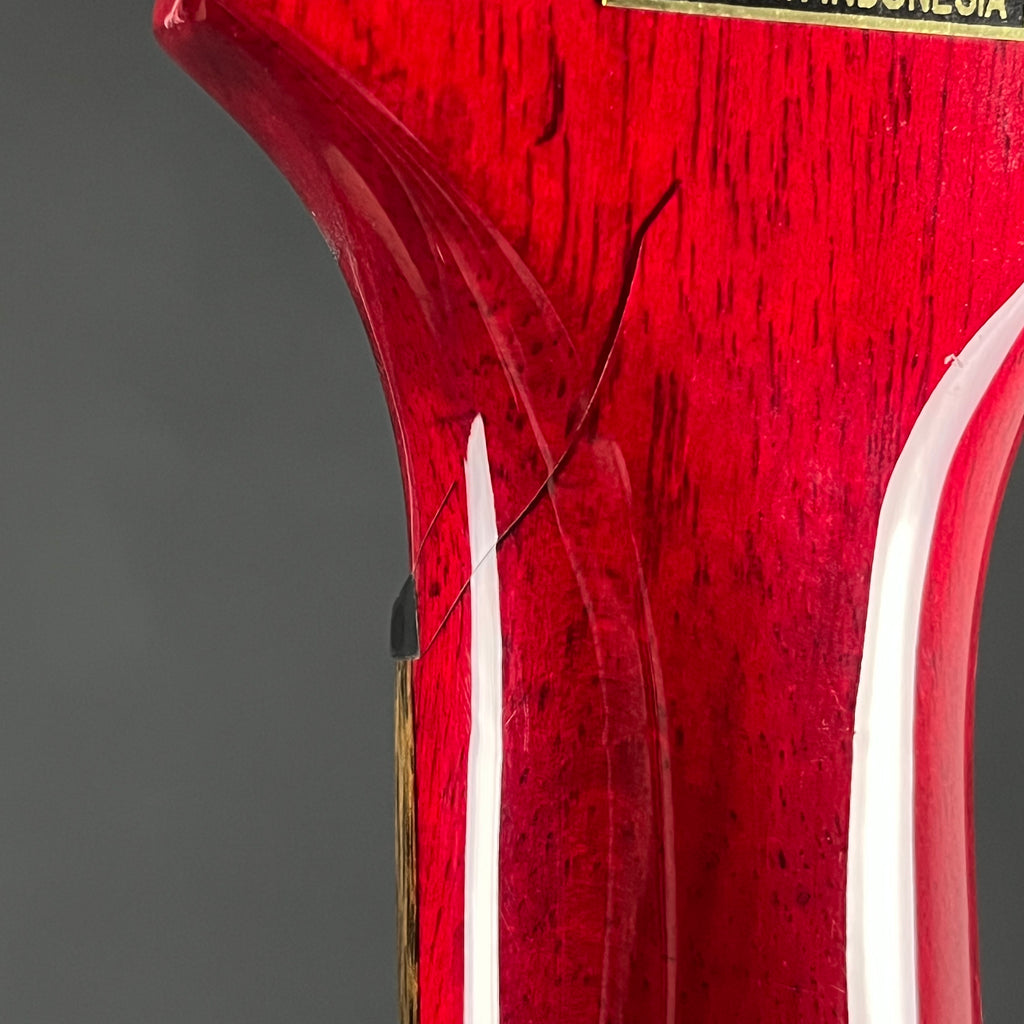Epiphone SG Special