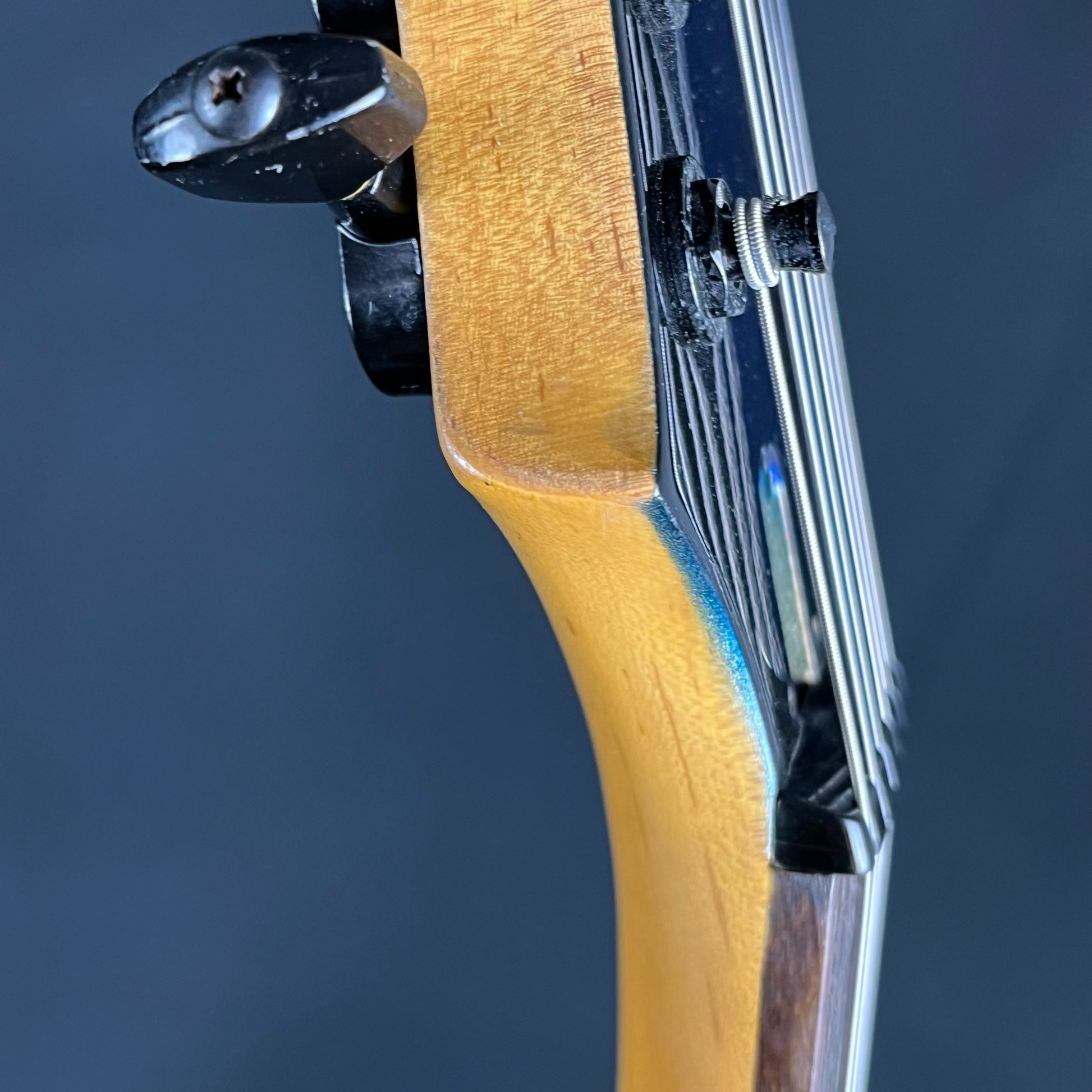 Aria Pro II Magna Series