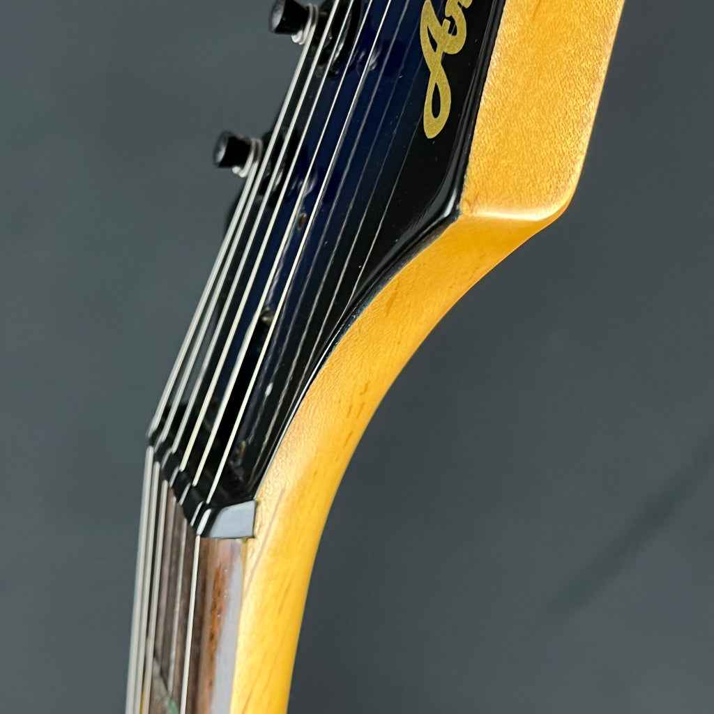 Aria Pro II Magna Series