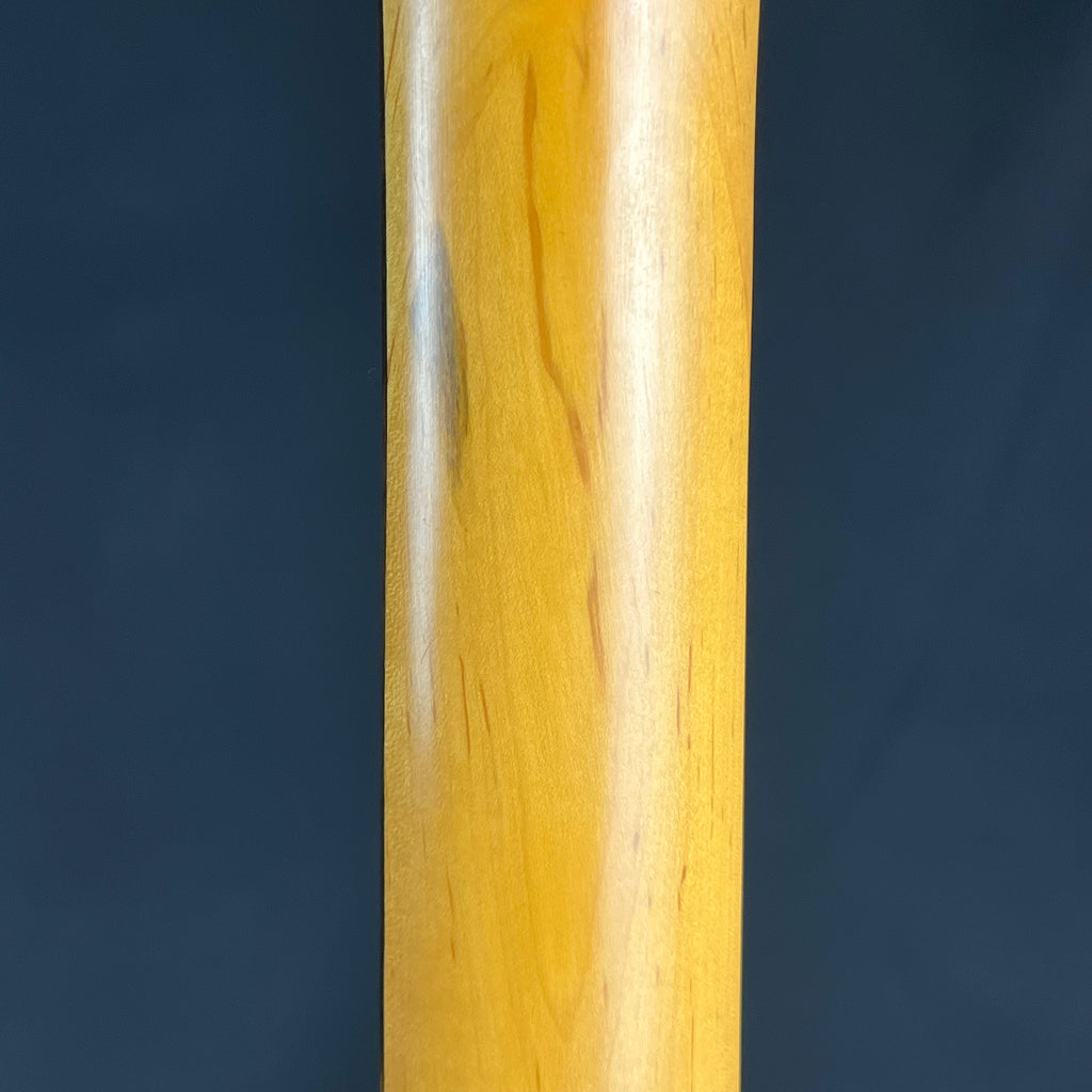 Aria Pro II Magna Series