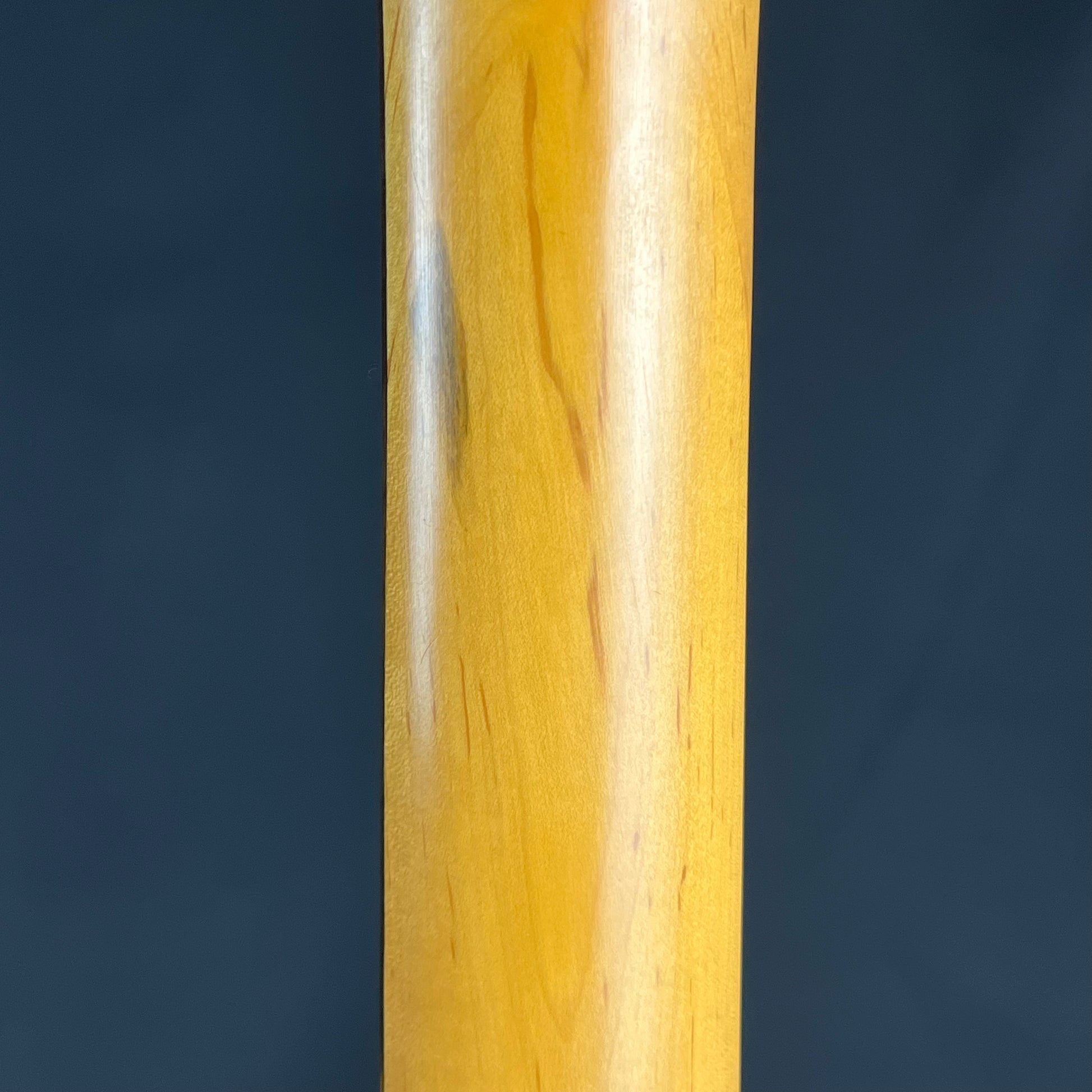 Aria Pro II Magna Series