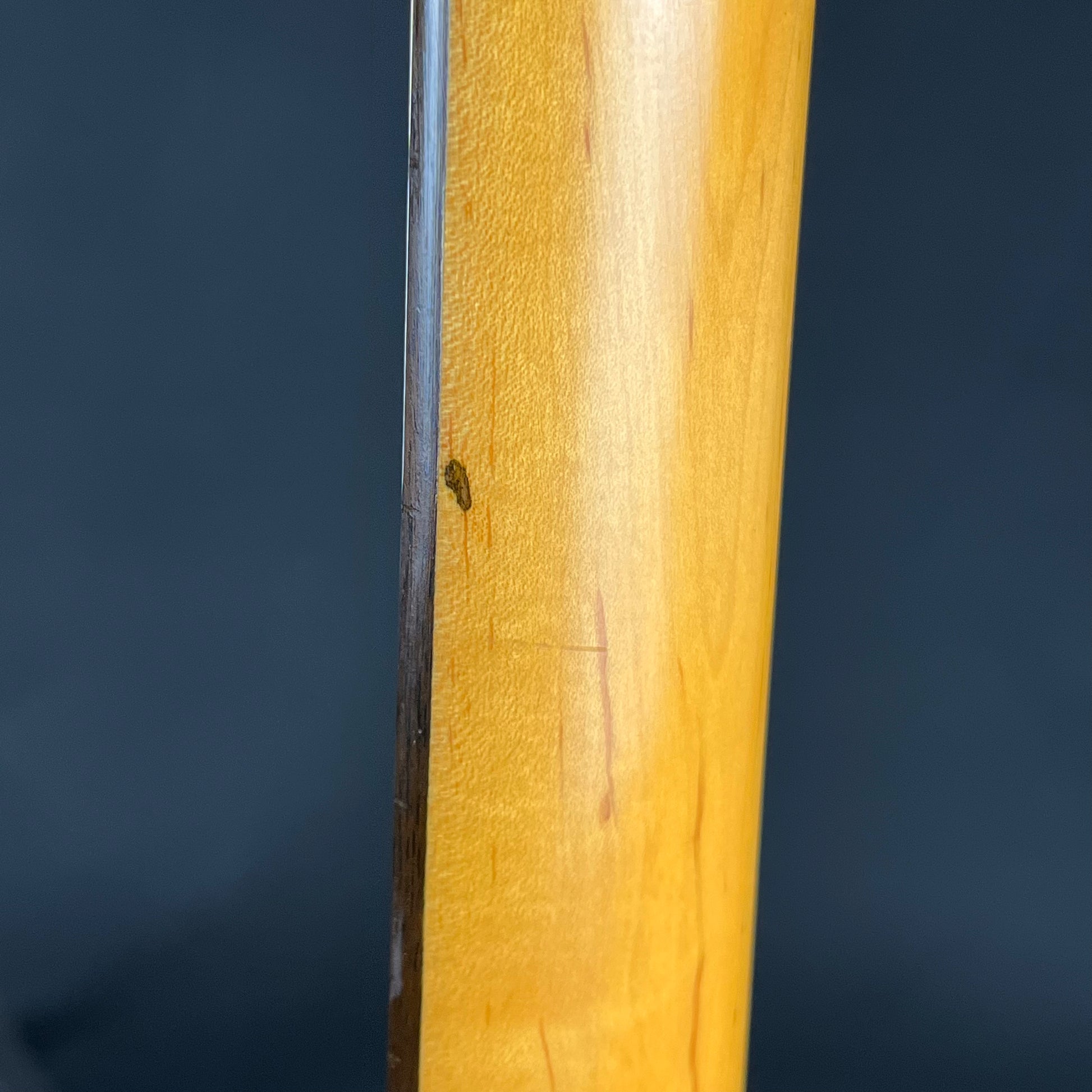 Aria Pro II Magna Series