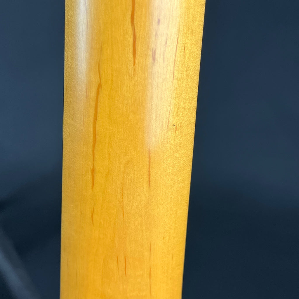 Aria Pro II Magna Series