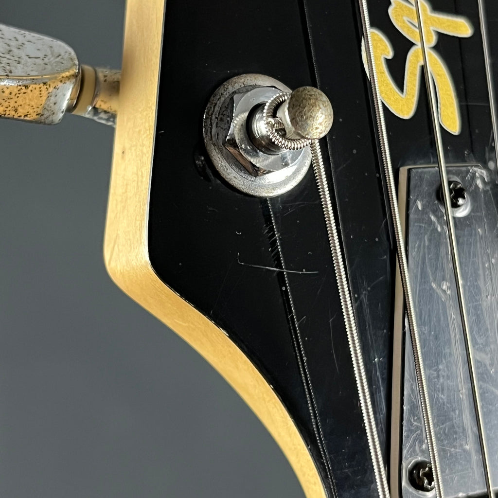 Squier Master Series M-80 Special