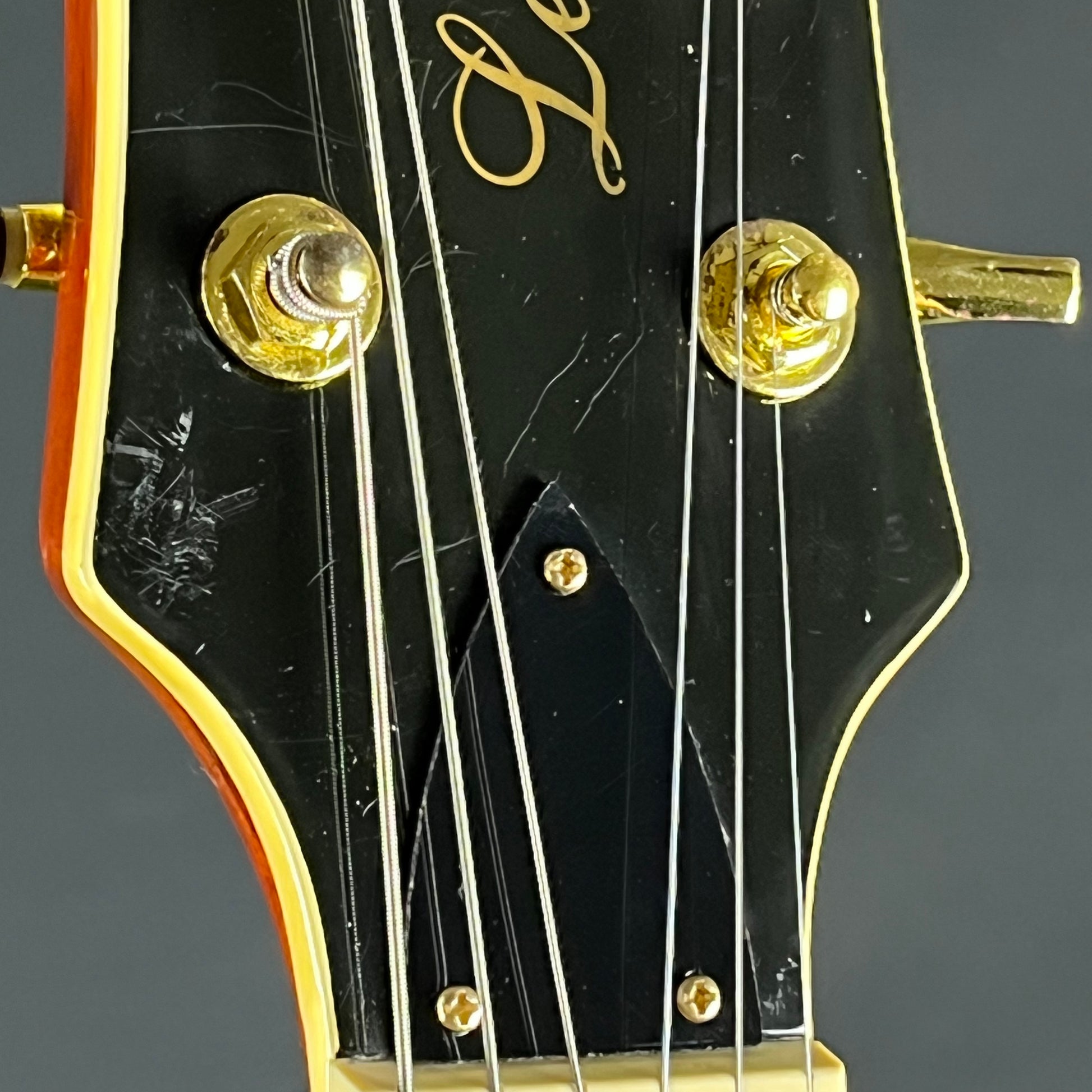 Blitz by Aria Pro II Leopard