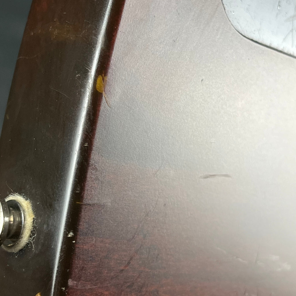 Squier Master Series M-80 Special