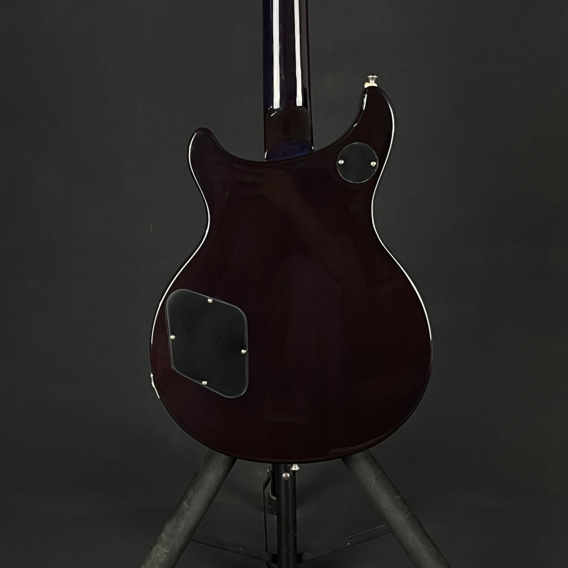 Epiphone Tak Matsumoto DC 2013