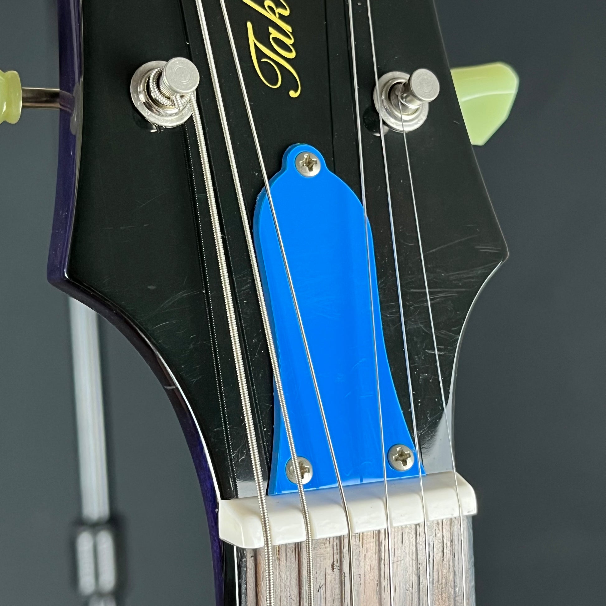 Epiphone Tak Matsumoto DC 2013