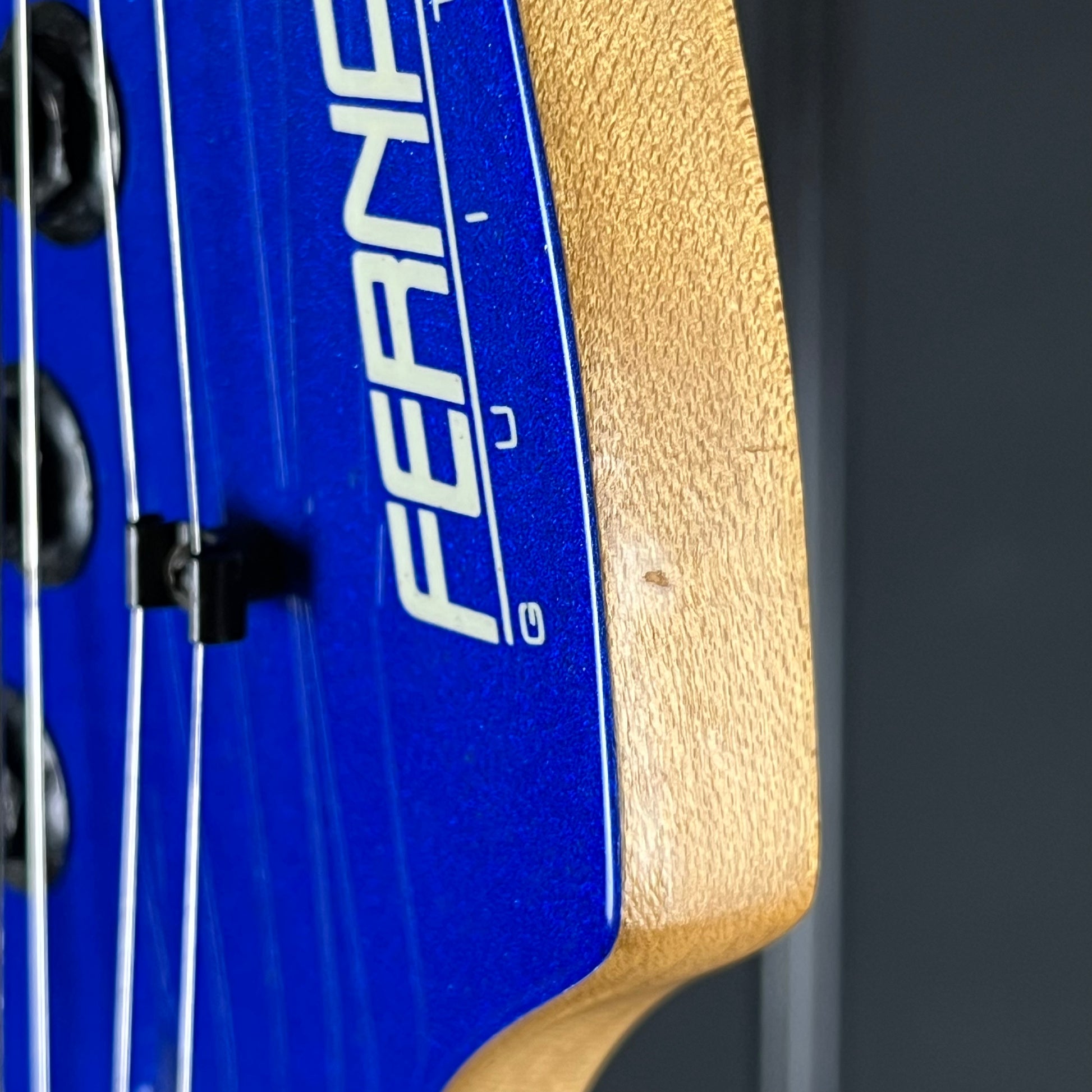Fernandes FR-55