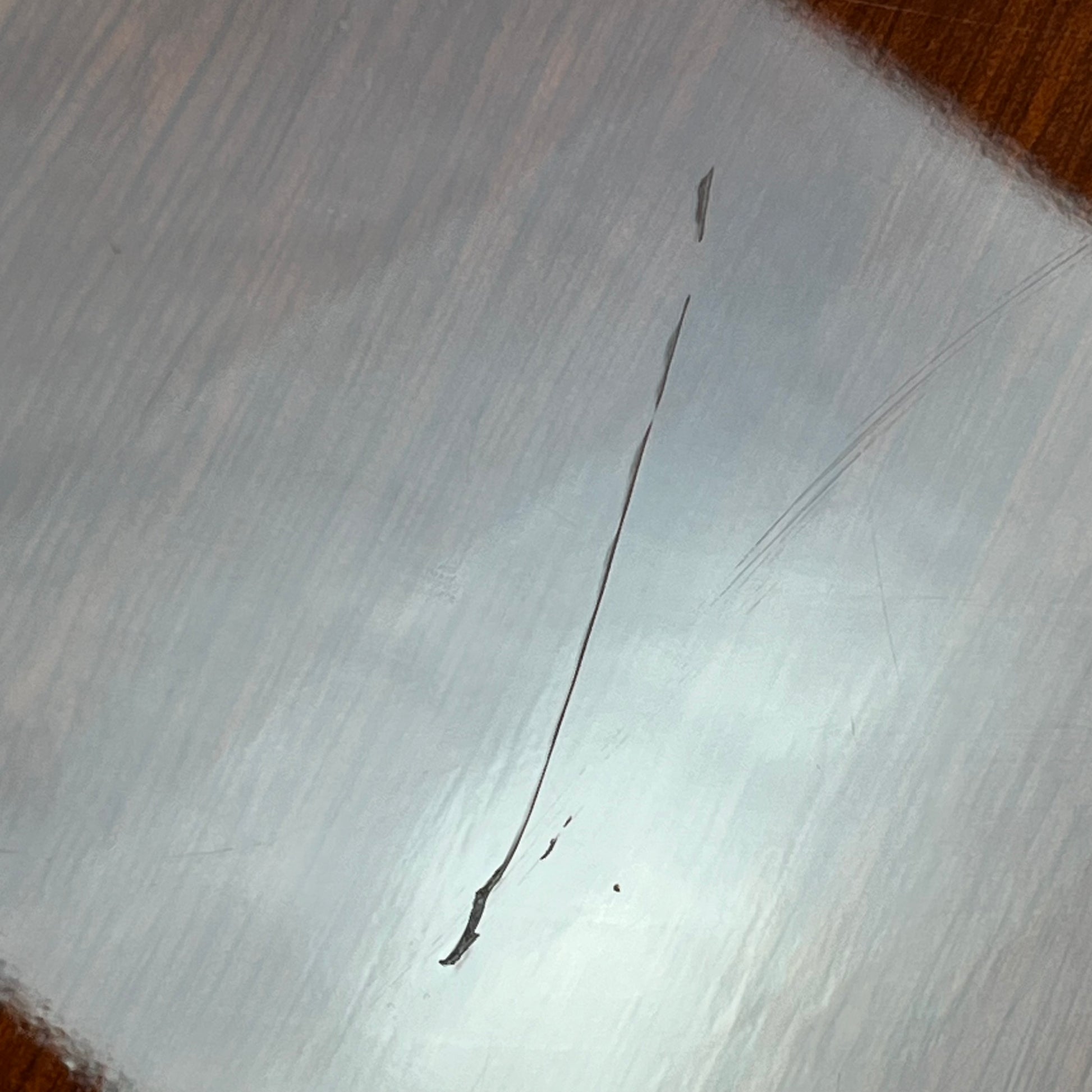 Blitz by Aria Pro II Leopard