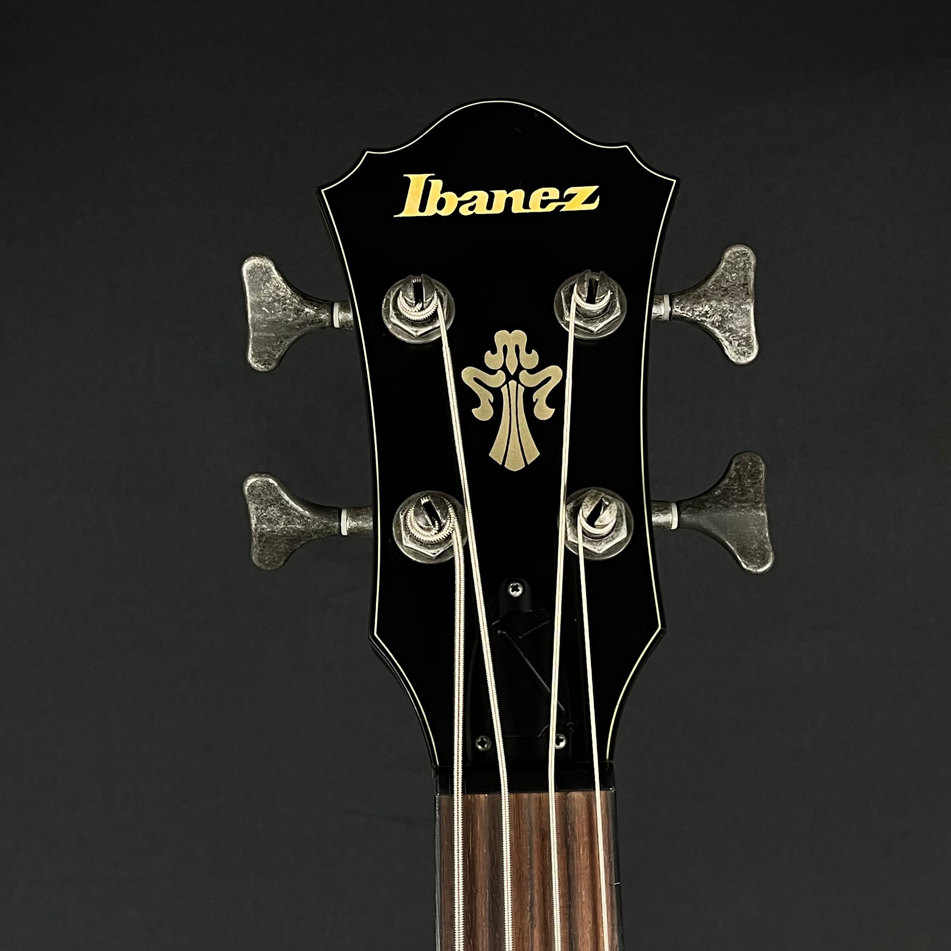Ibanez AGBV200A
