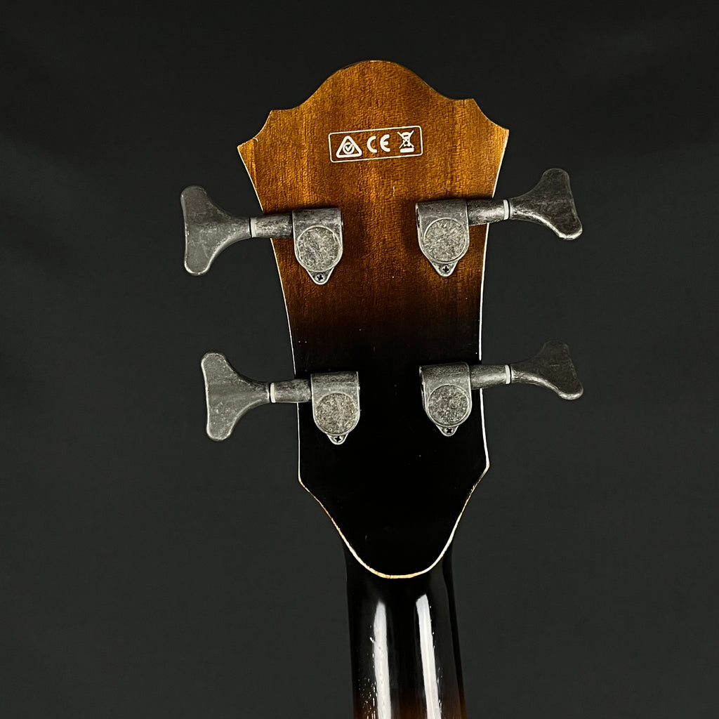 Ibanez AGBV200A