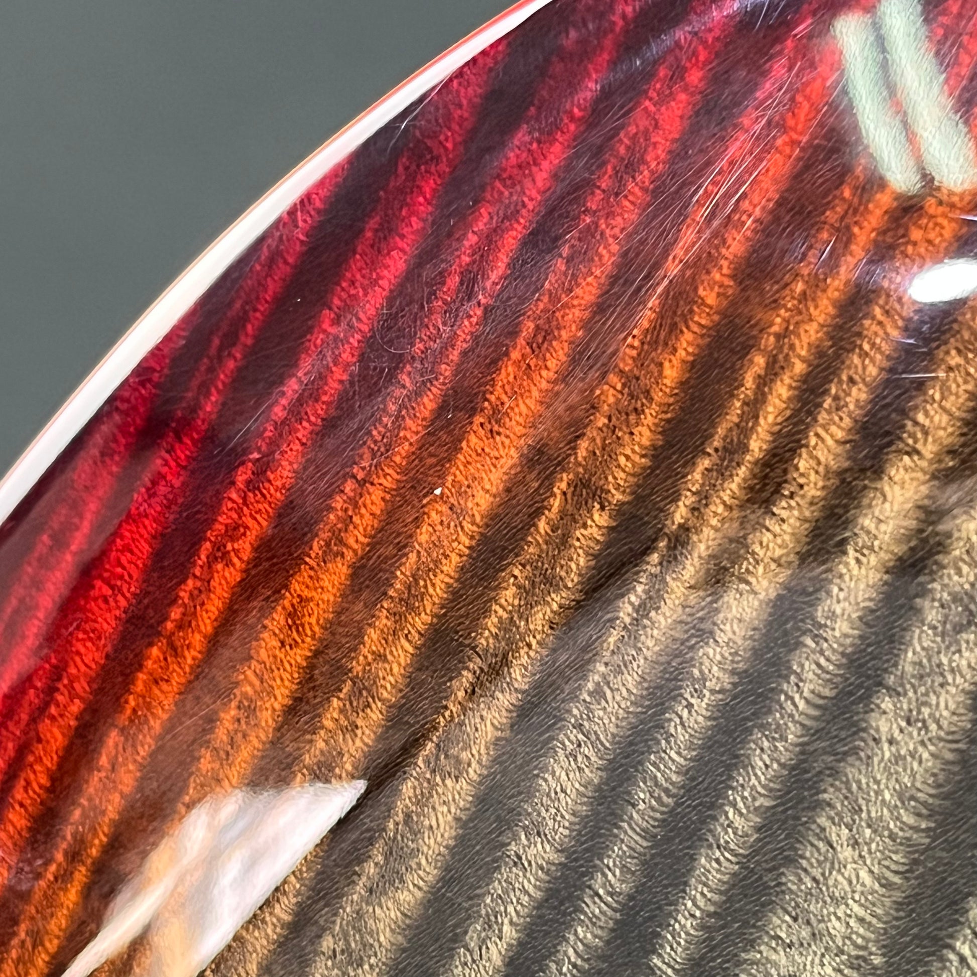 PRS SE Custom 24 2024 Charcoal Cherry Burst