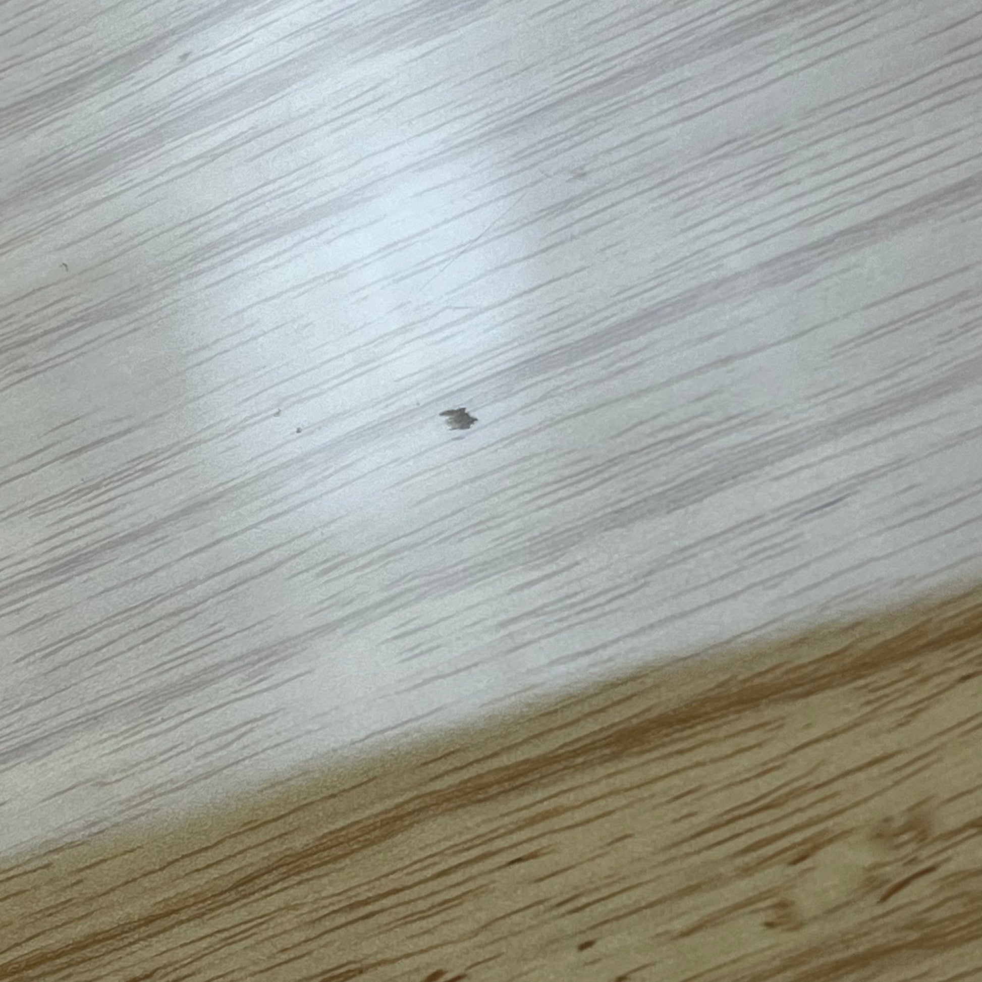 Fender Japan Traditional 70s Telecaster 2017