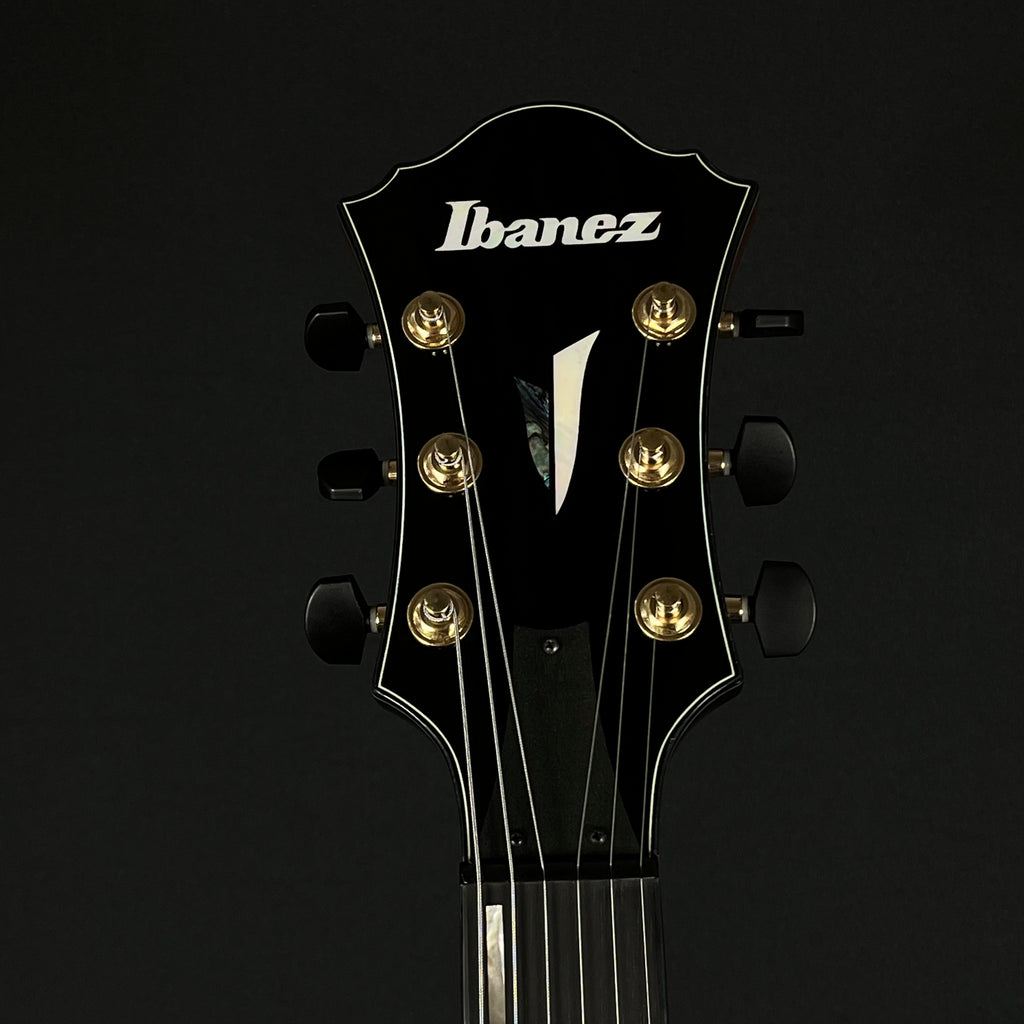 Ibanez AFC-151-TBC