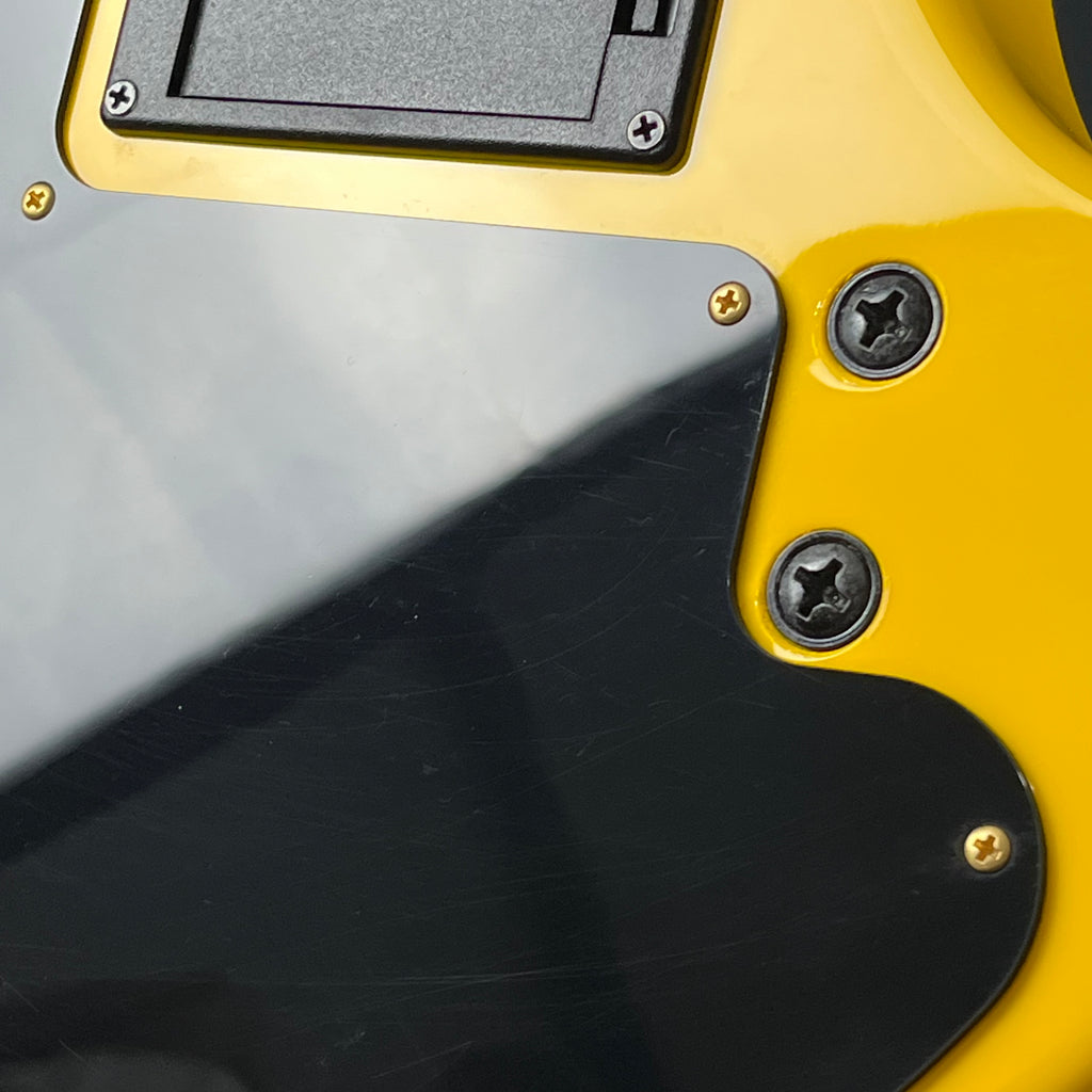 FERNANDES Yellow Heart ZO-3 2018