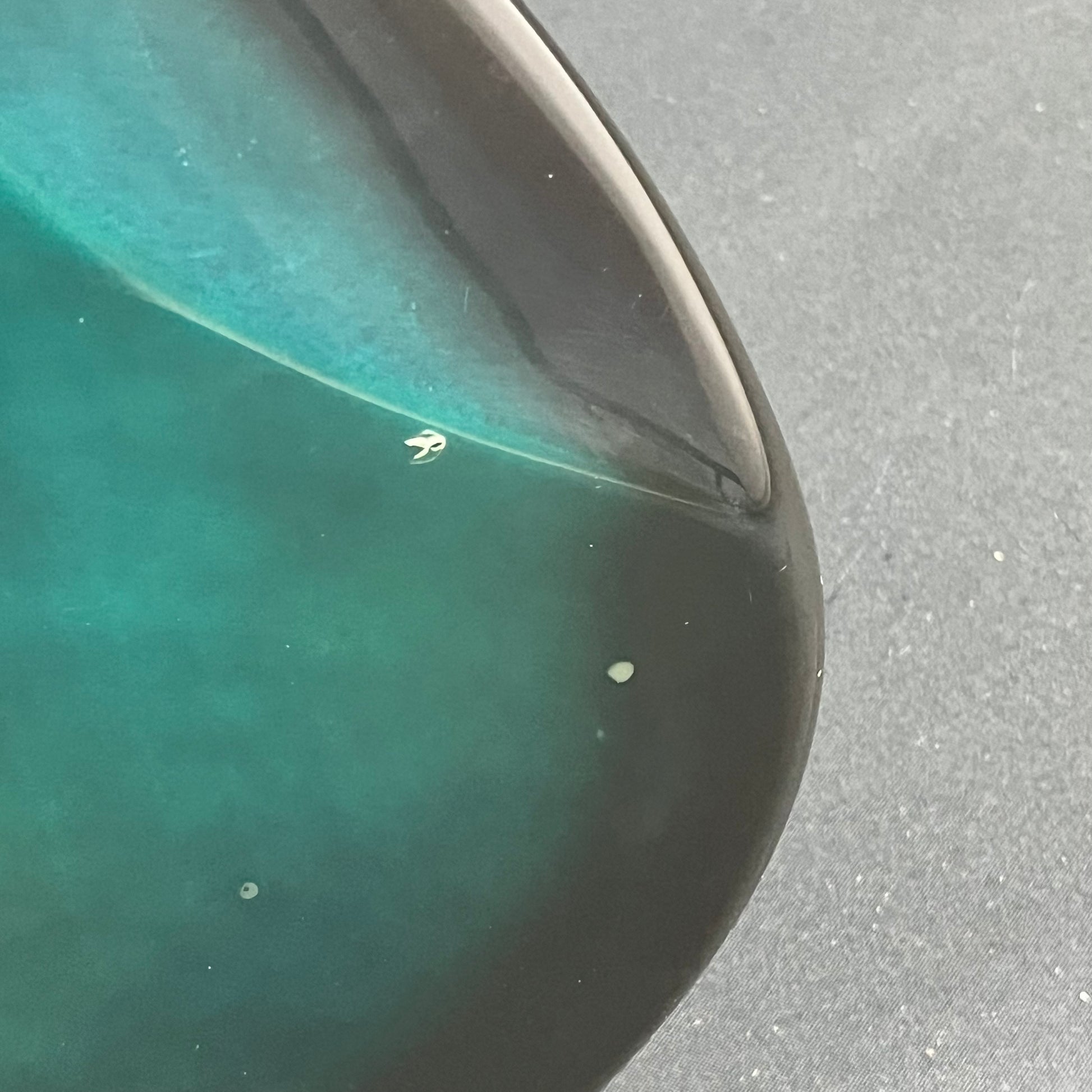 Bacchus Universe Series Jazz Bass