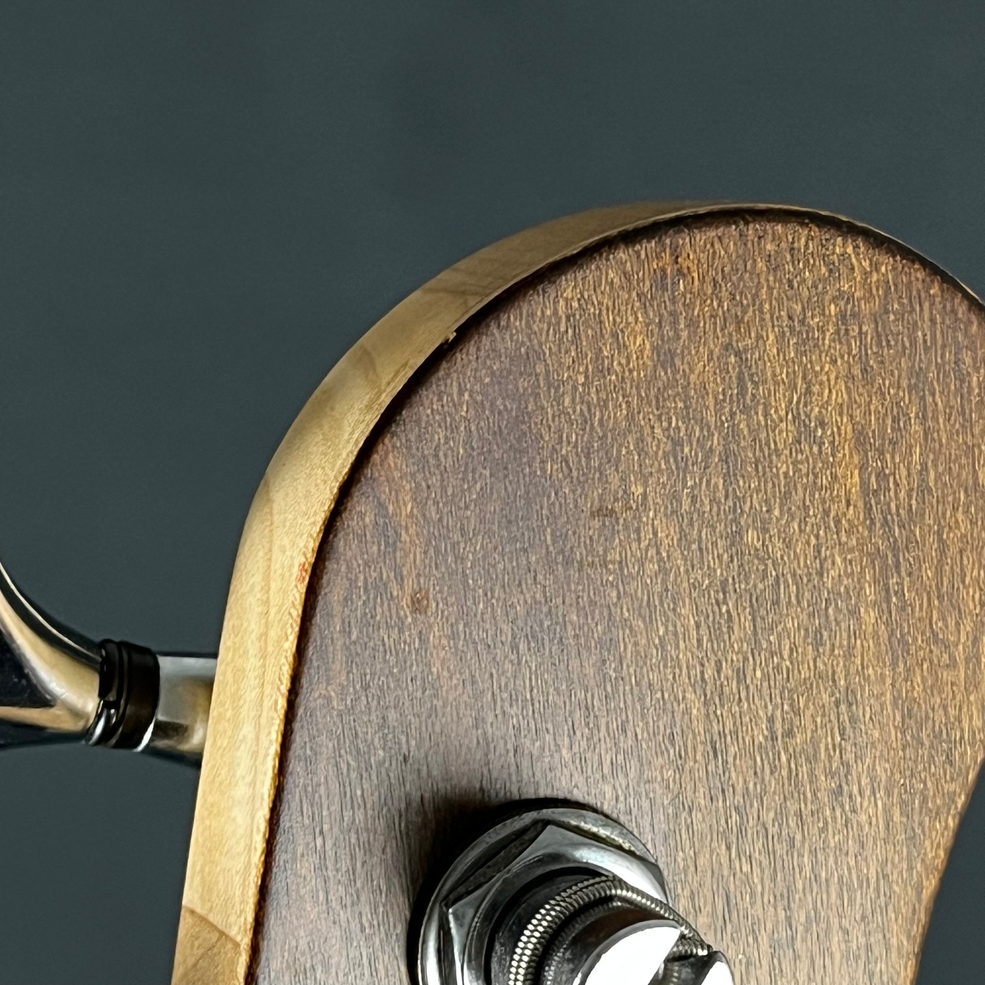 Bacchus Japan TWENTY-FOUR ASH4 Bass